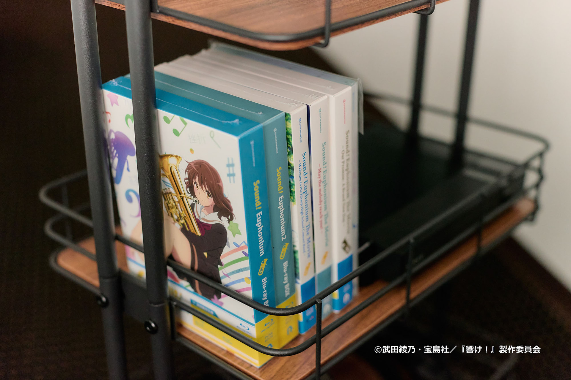 作品を鑑賞できる