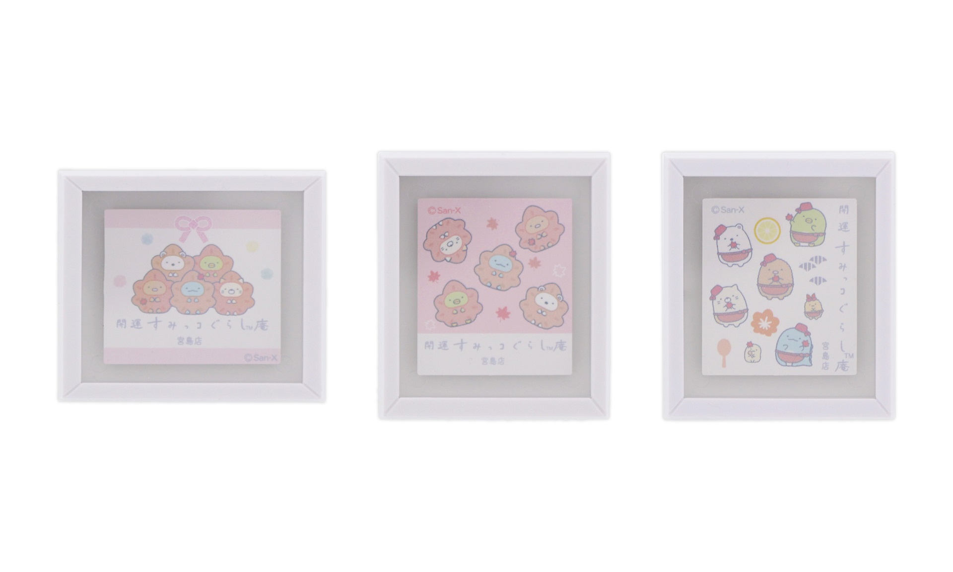 ミニフレームマグネット各種（495円）