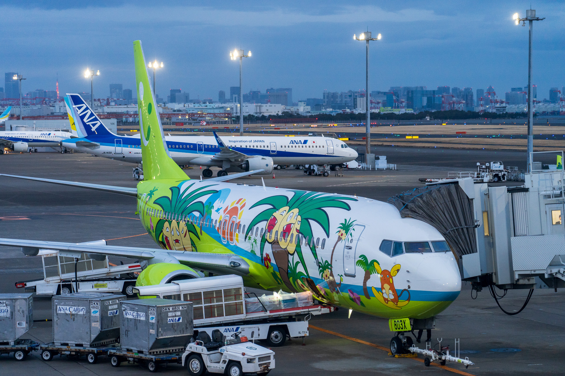 もうすぐ出発！ソラシドエア初の全面塗装機「ナッシージェット宮崎」@羽田空港