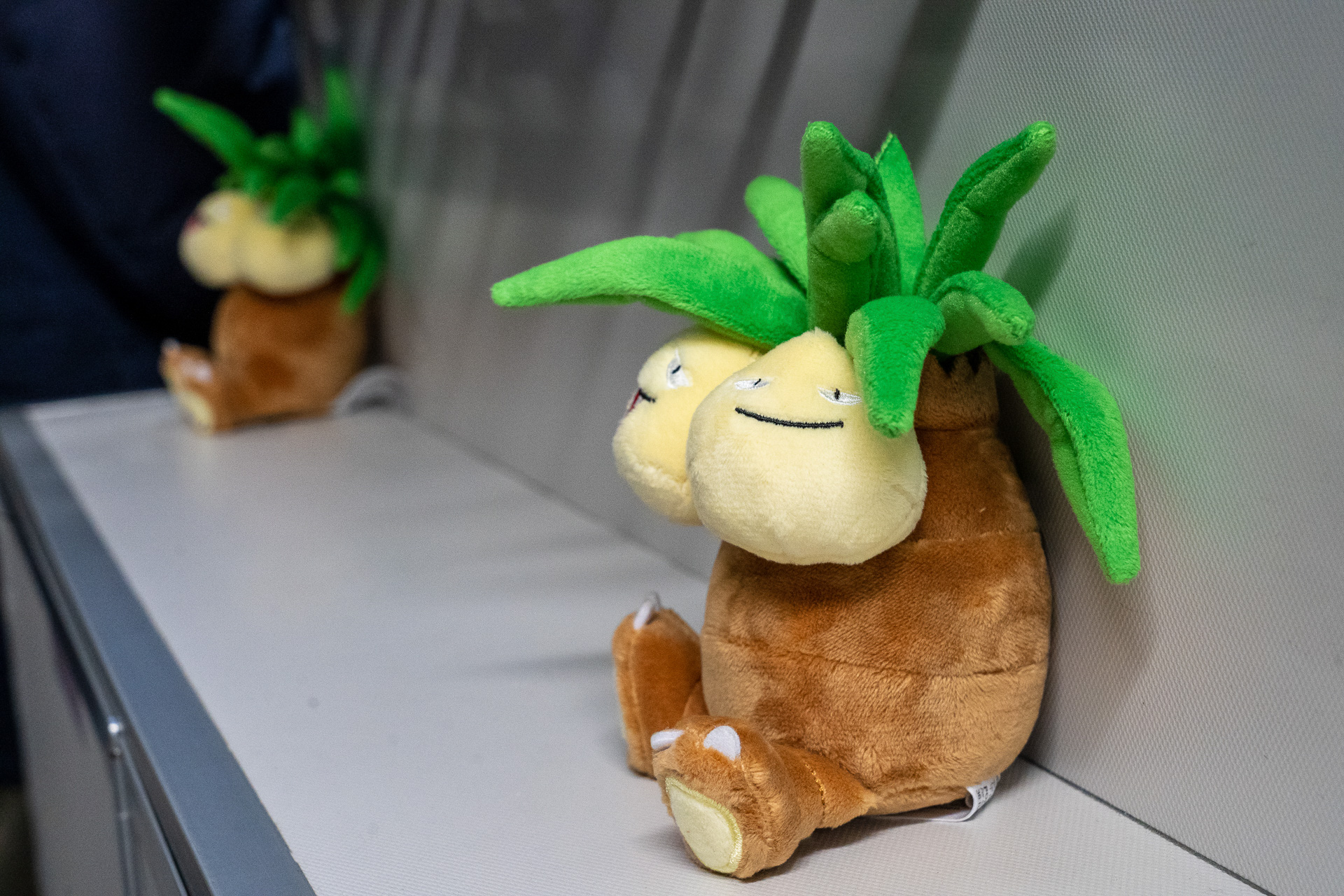 入り口にはナッシーのぬいぐるみがお出迎え