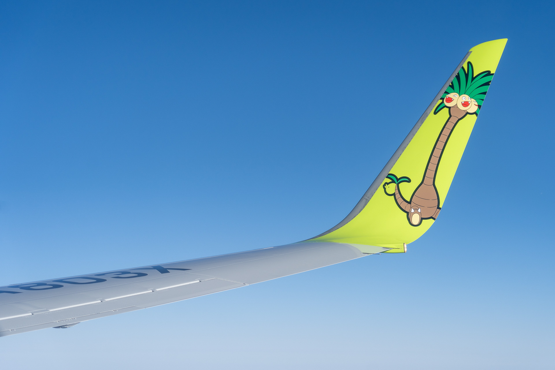 乗っていても見られる特別塗装がこちらのウイングレット！　右はアローラナッシー