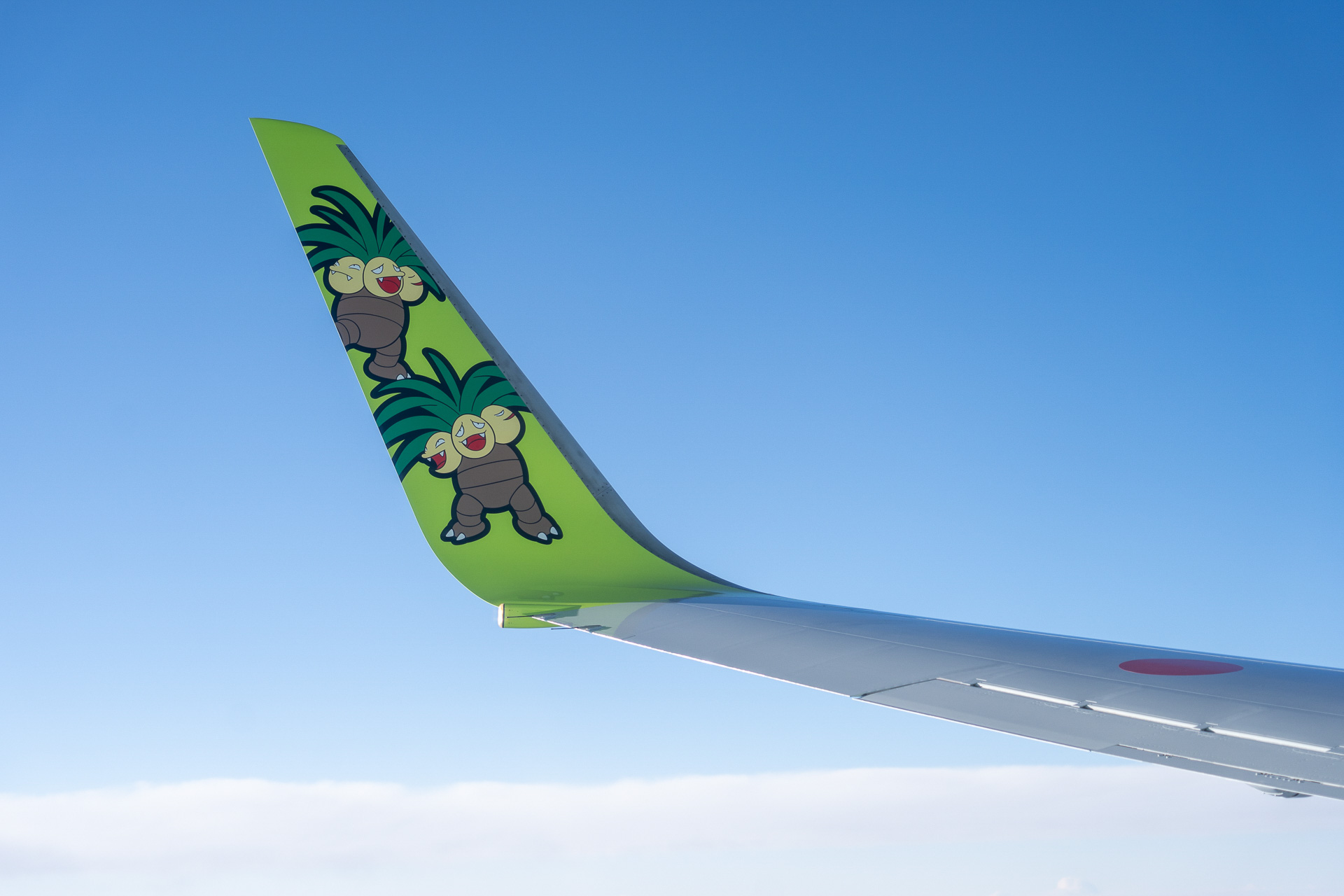 左のウイングレットはナッシーだ