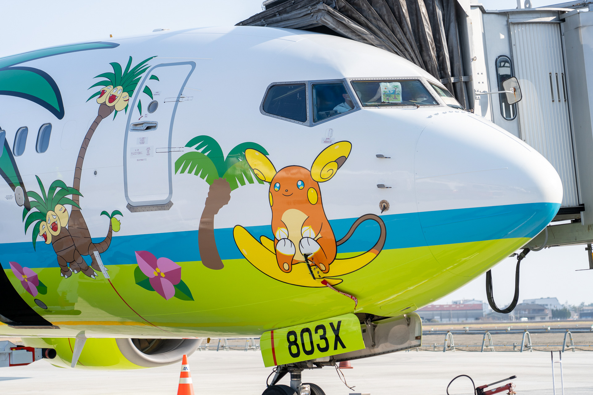 機体前方にはサーフテールにちょこんと座ったアローラライチュウの姿が