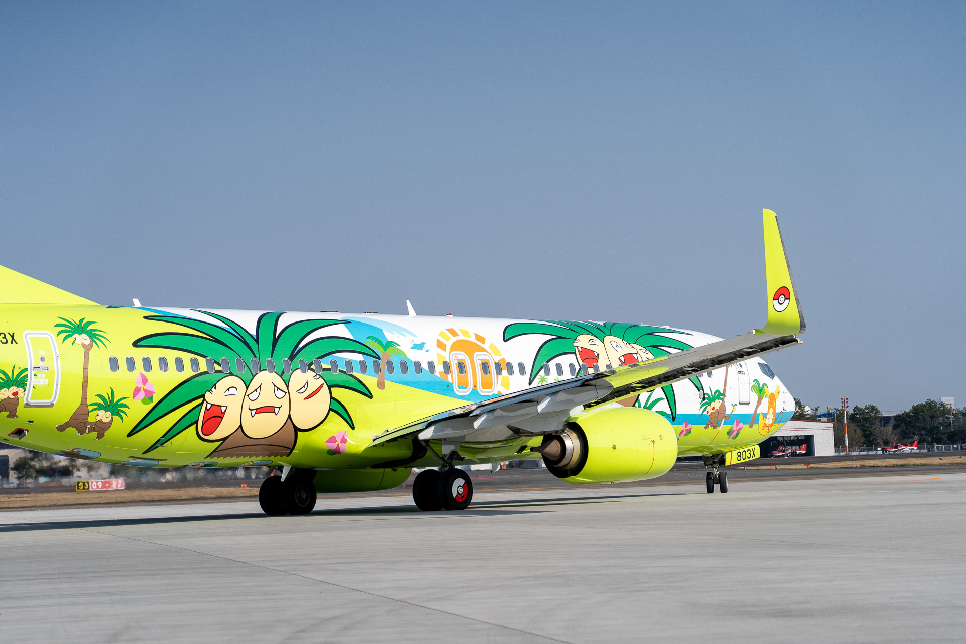 ナッシージェット宮崎は約3年間、ソラシドエア全就航路線で運航予定だ