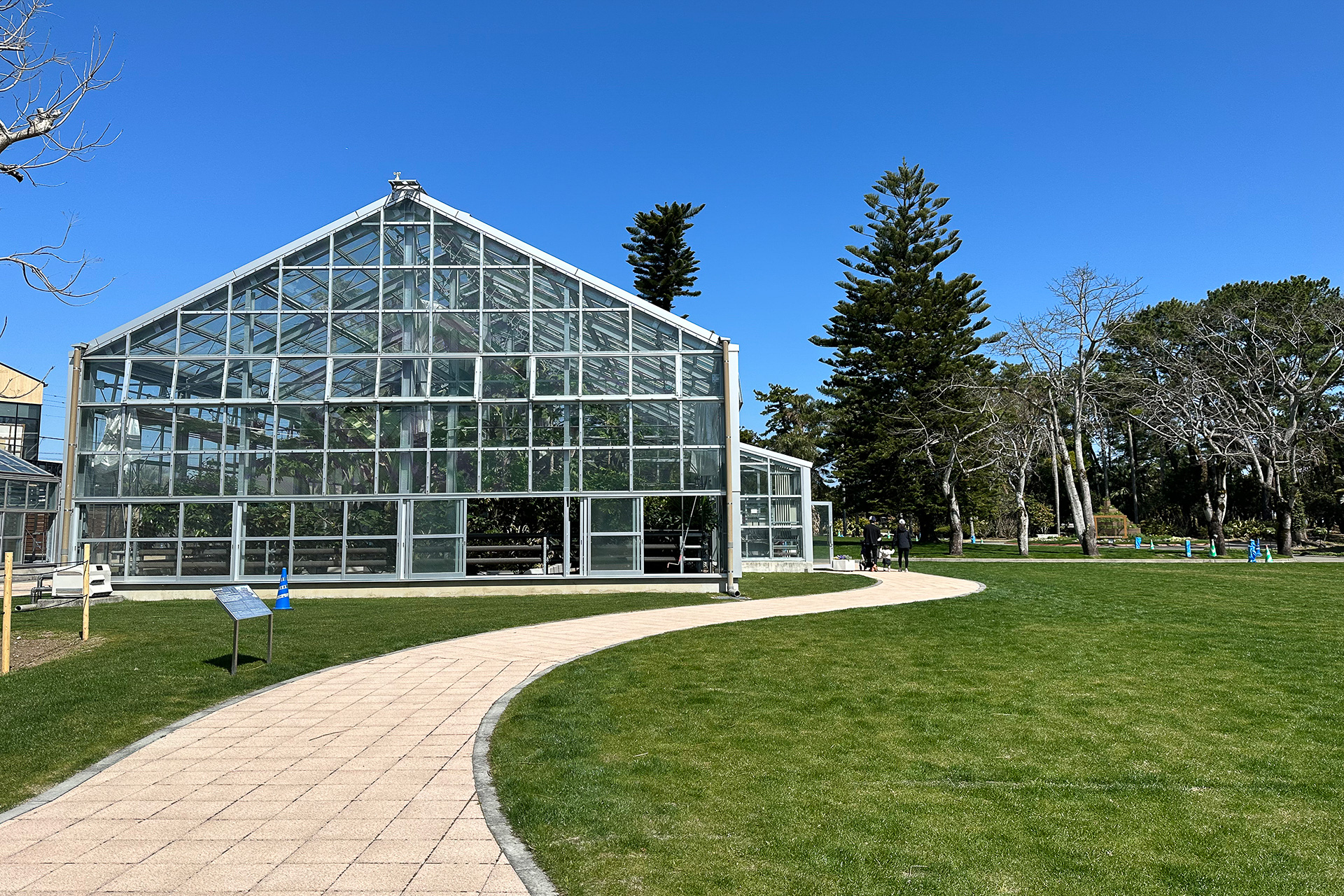 すぐ近くにある宮交ボタニックガーデン青島の温室もいい