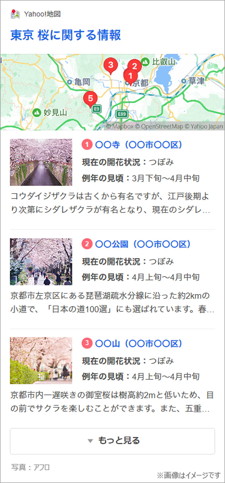 地域のお花見情報