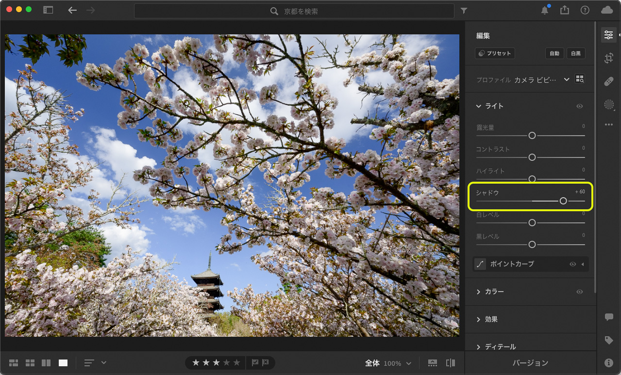 「ライト」パネルの「シャドウ」のスライダーを右に動かすと明るくなる。雲や空まで明るくならないよう暗い部分がほんのりと明るくなる程度でよい