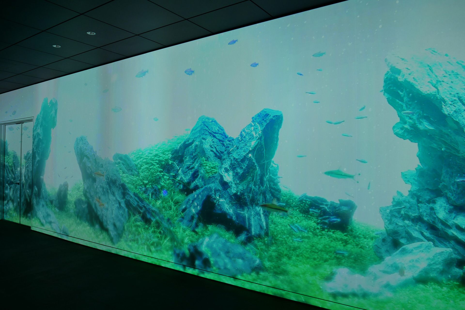 プロジェクションマッピングは縦3.3m、横14mの大迫力で、季節や気候、時間帯によって表情が変化する水系の環境映像を表示。まるで水族館にいるかのような雰囲気だ