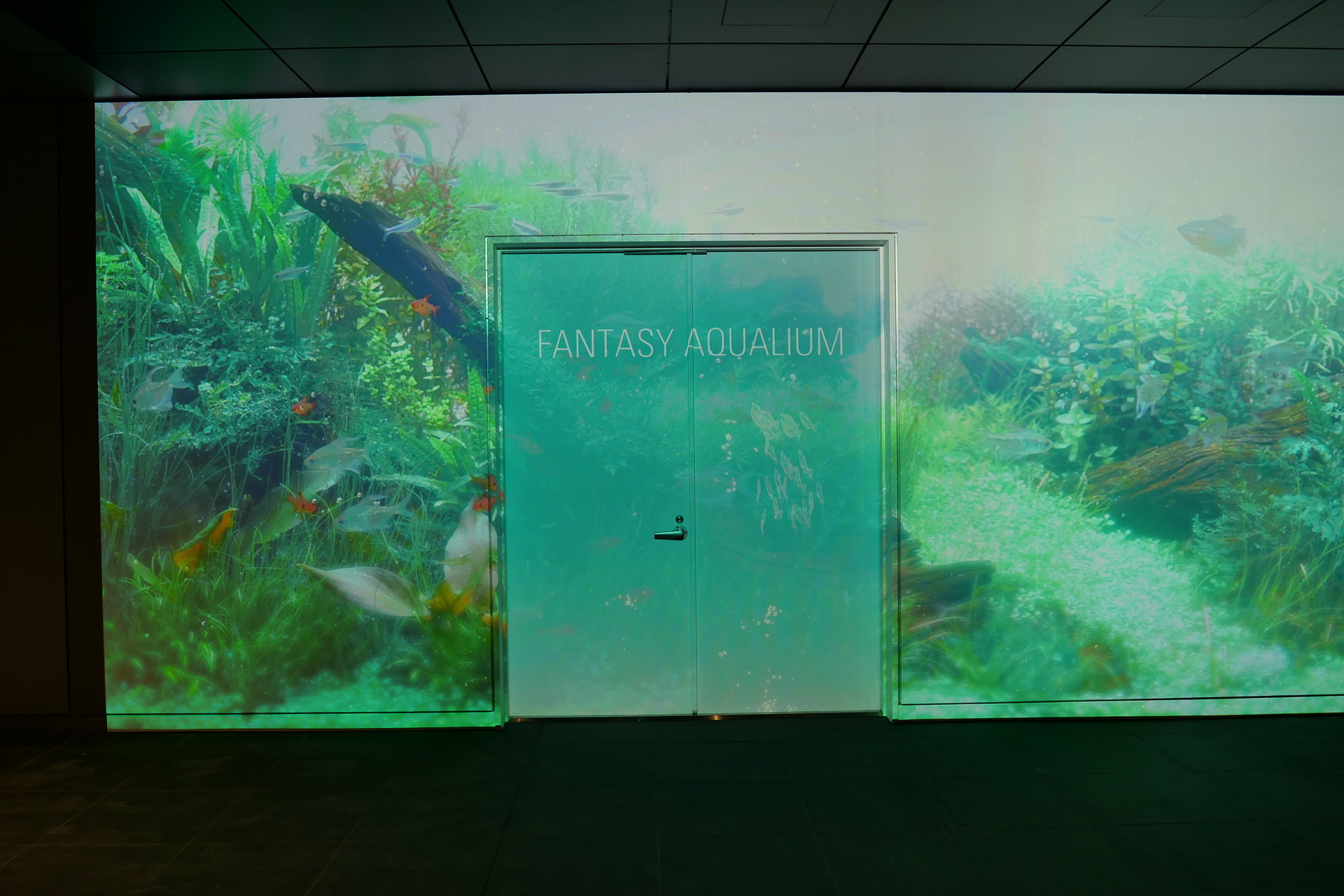 壁の扉部分で記念撮影できる演出も用意