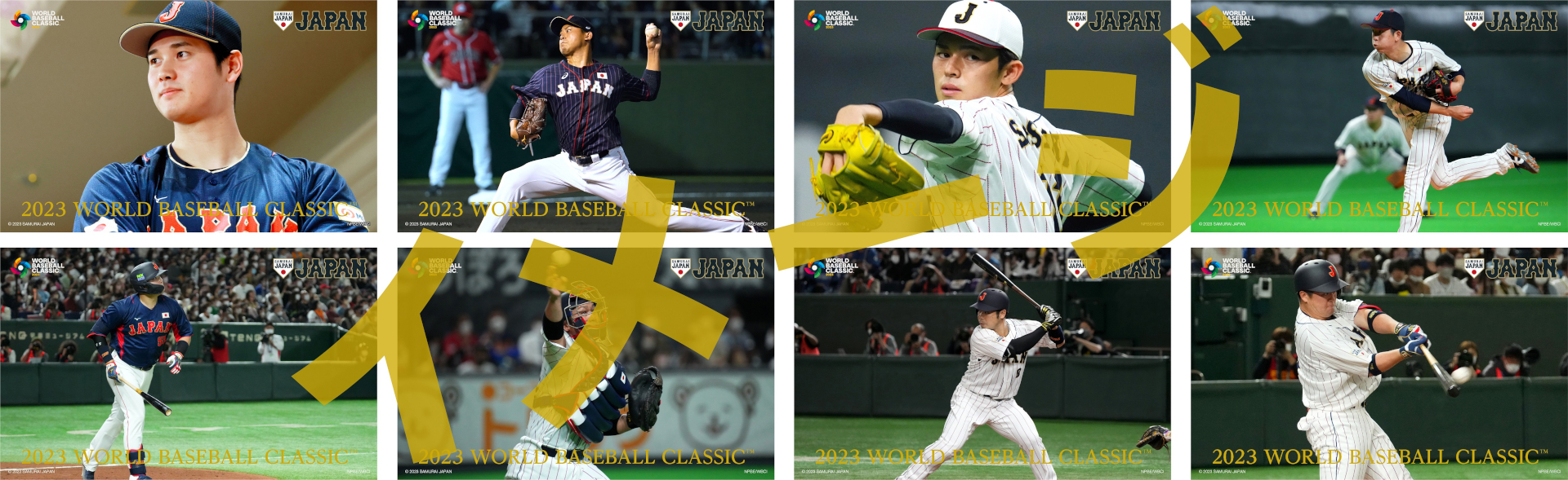 プレミアム箔押し大型ポストカード