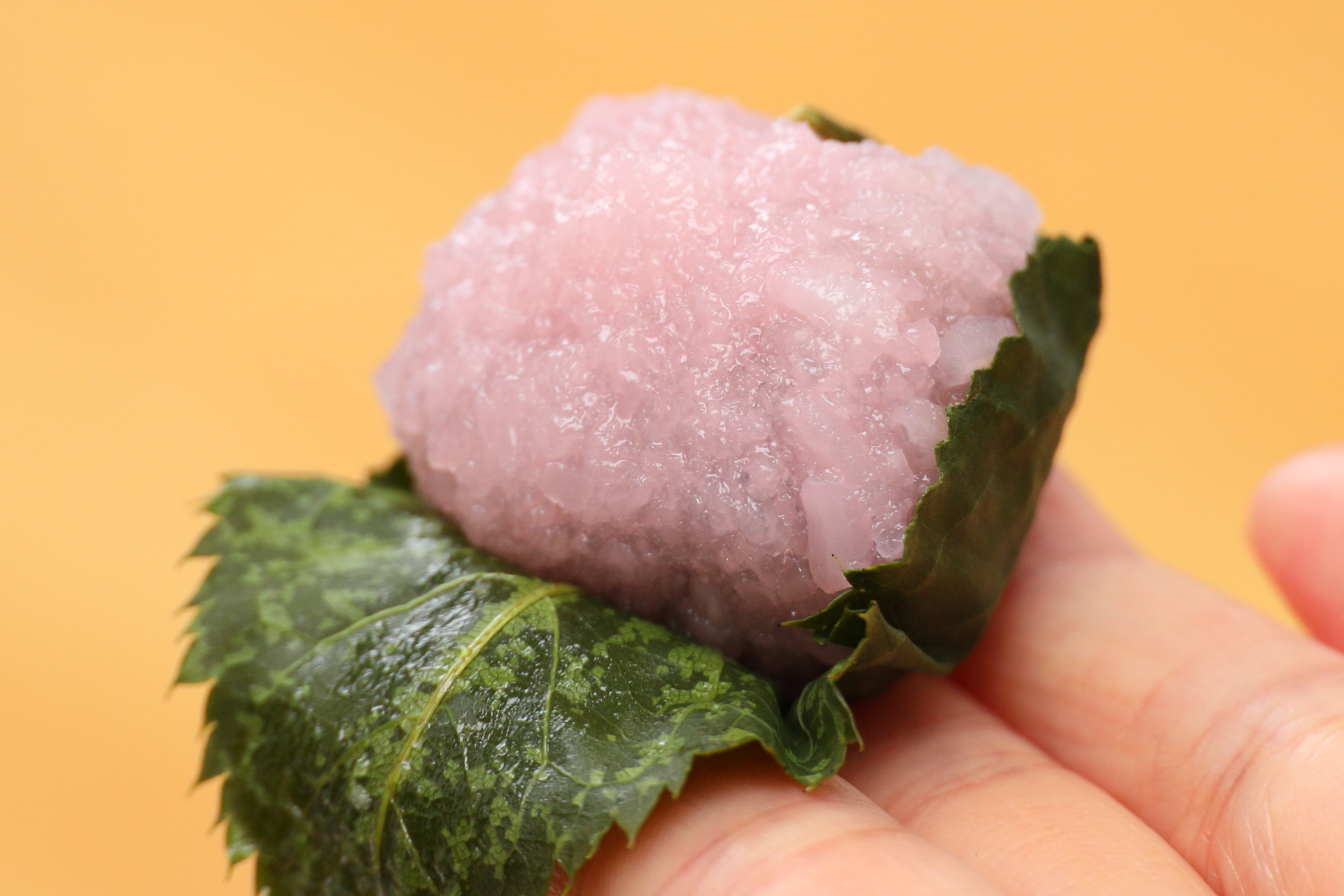 桜餅。もちろん葉っぱもちゃんと本物で食べられます