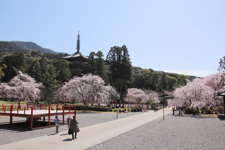 伽藍の様子