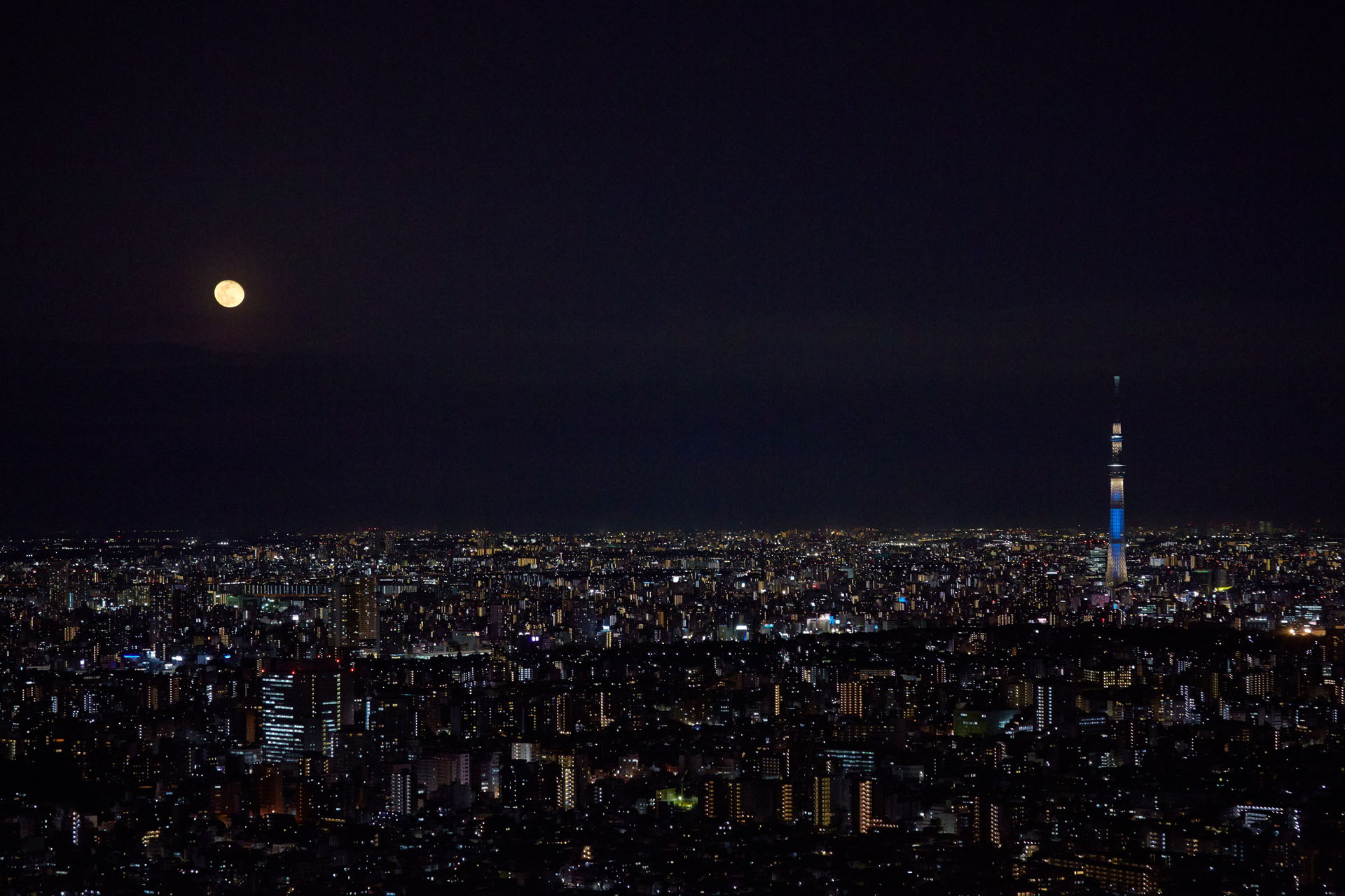 不定期で「てんたいパーク」を実施する