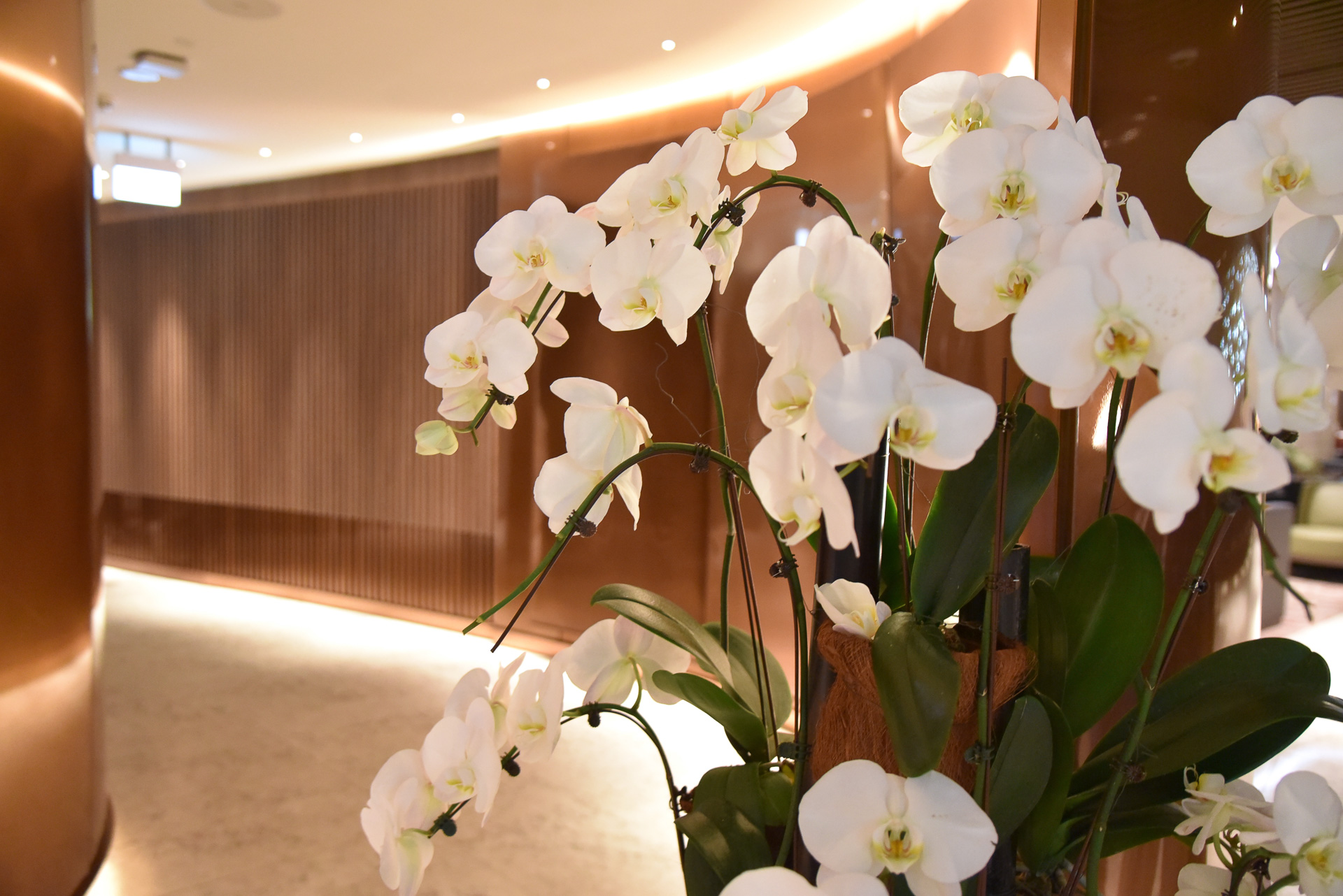 足を踏み入れた瞬間の図。廊下ですら静寂な空間でした