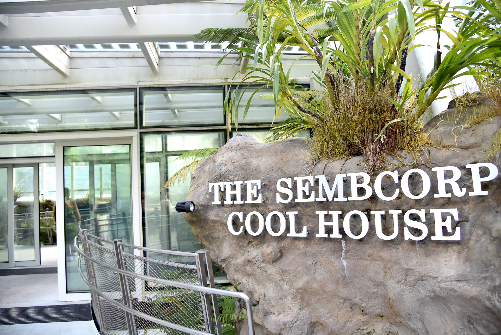 「THE SEMBCORP COOL HOUSE」は蘭の大規模コレクションが一度に見れる場所