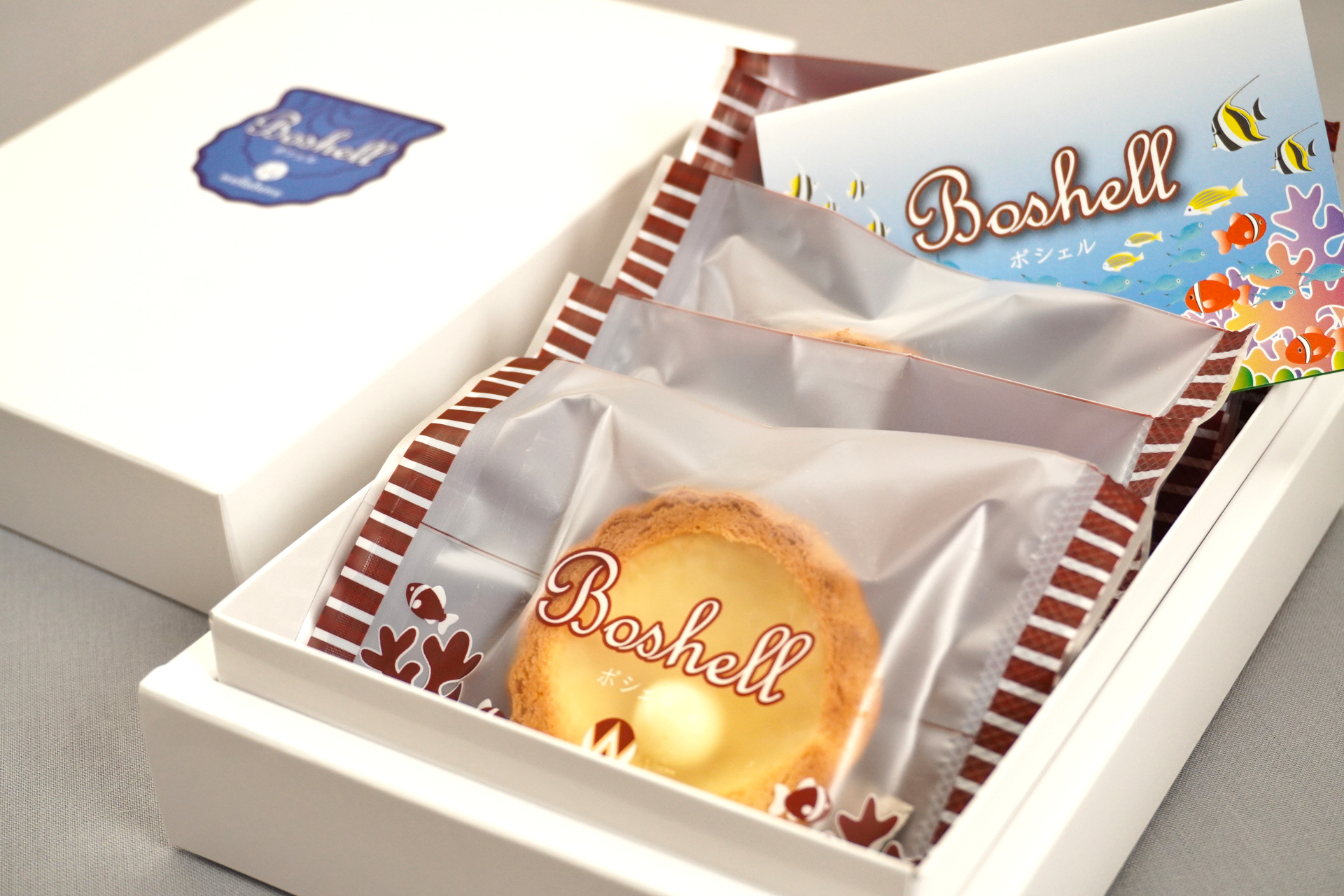 5枚入りの箱。個包装のパッケージにも海の魚やサンゴをデザイン