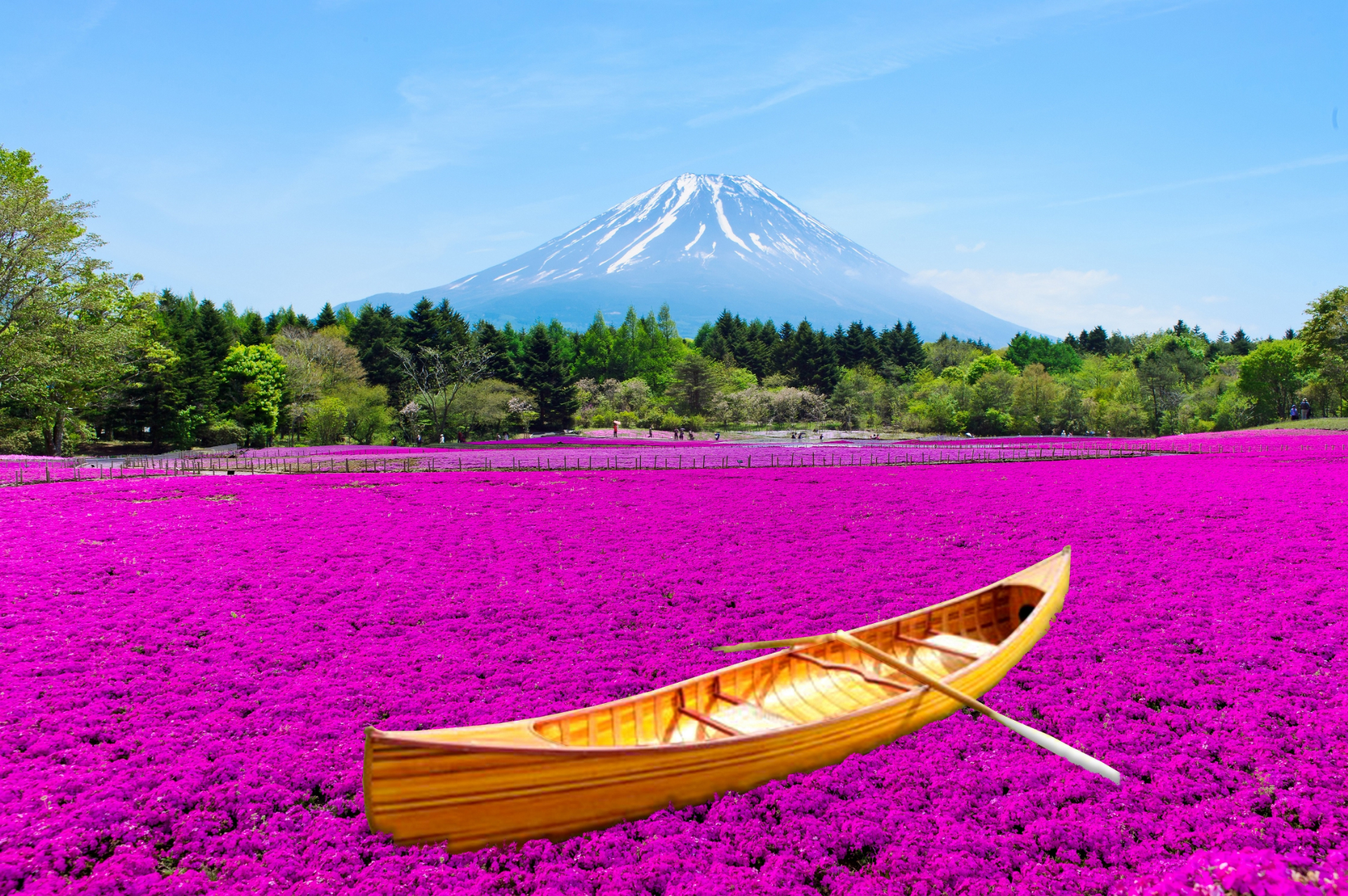 春の絶景・富士芝桜まつりに“ピンクの海を旅する小舟”が登場