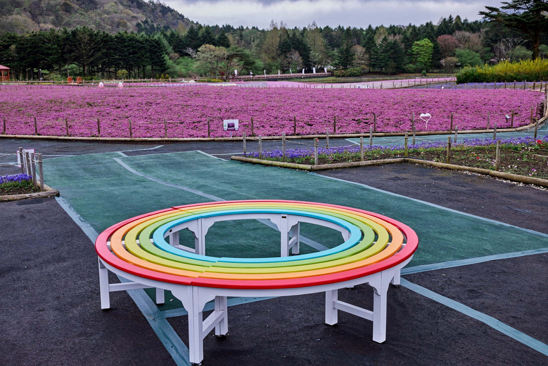 虹色のサークルベンチ