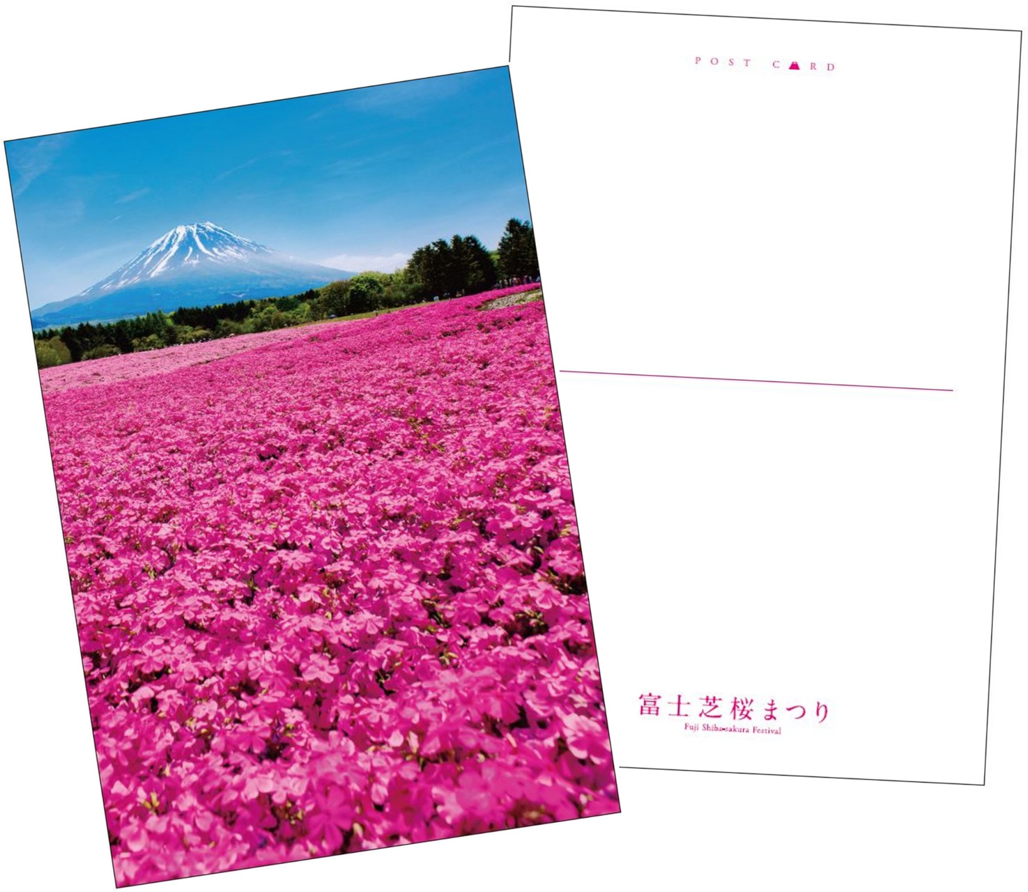 「Instagram投稿キャンペーン」で投稿された富士芝桜まつり写真のなかから、来年のポストカードデザインを選定