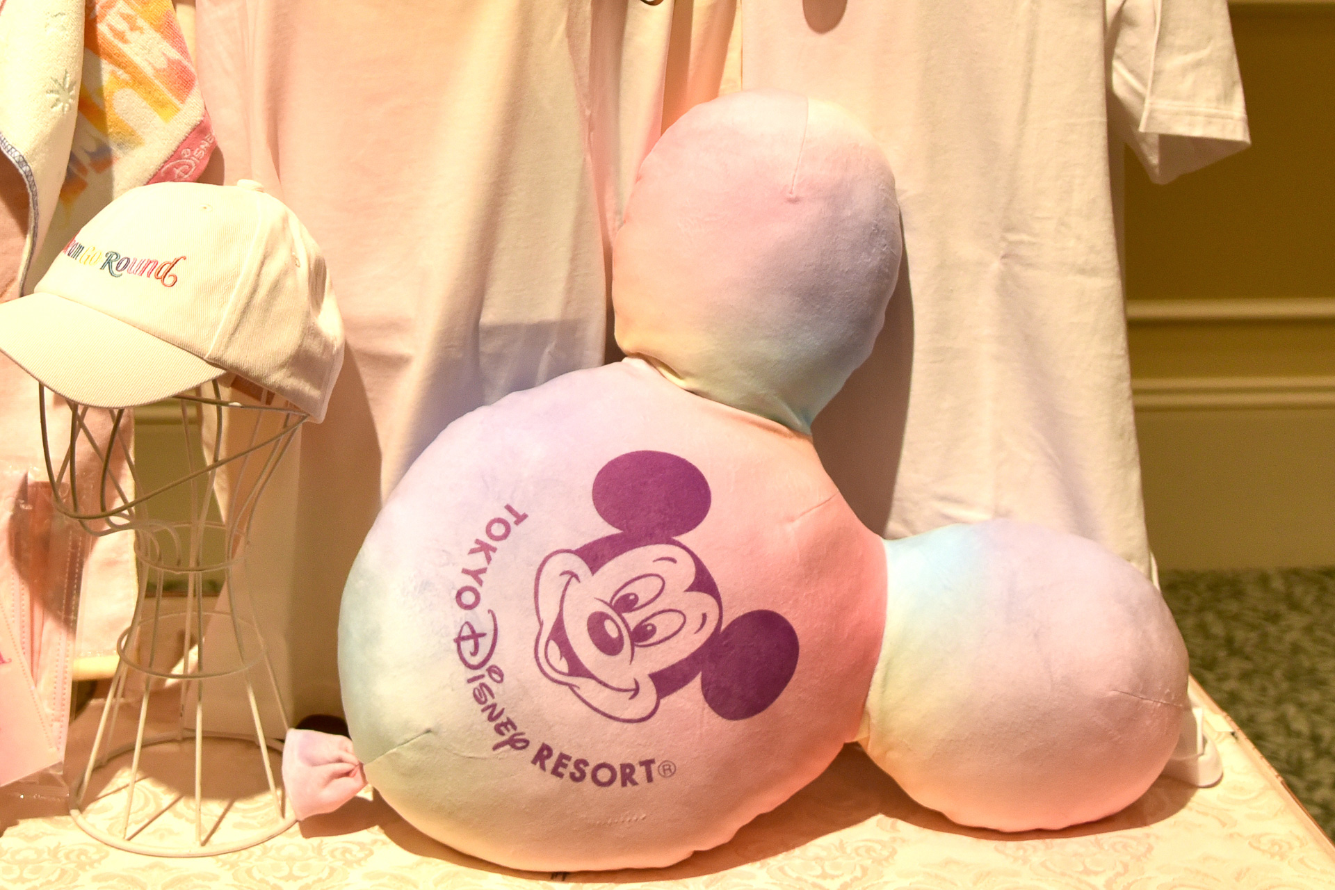 ぎゅっと抱きしめて撮ると天才的なかわいさ「クッション」