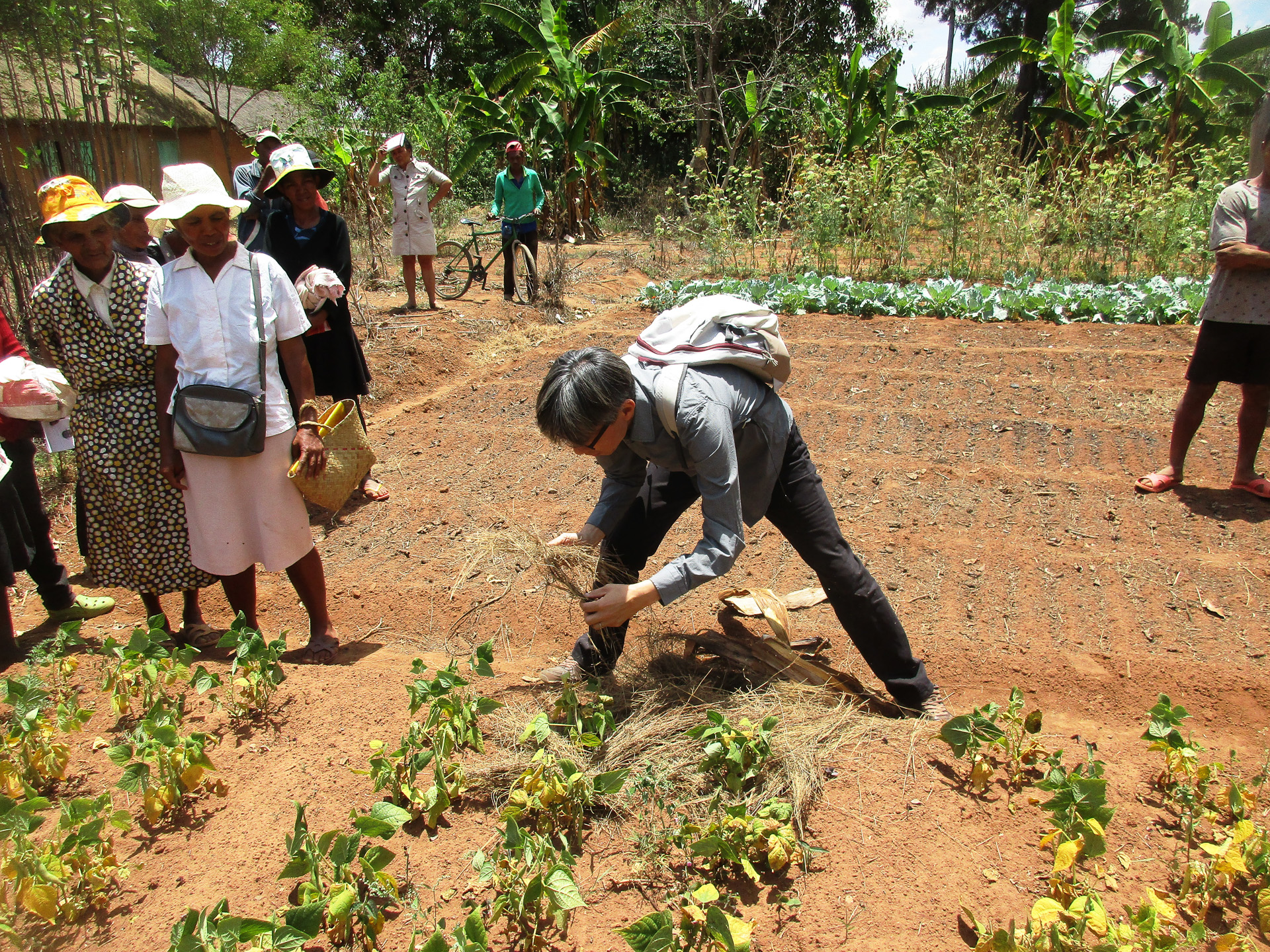 マダガスカルで自然農法の普及をサポートする浩幸さん &copy;SARATANI