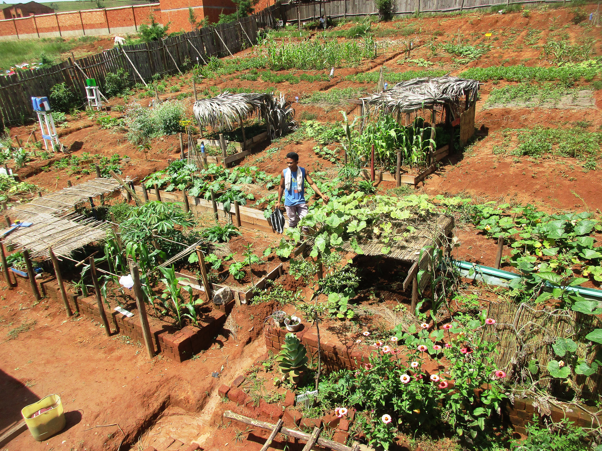 マダガスカルで自然農法の普及をサポートする浩幸さん &copy;SARATANI