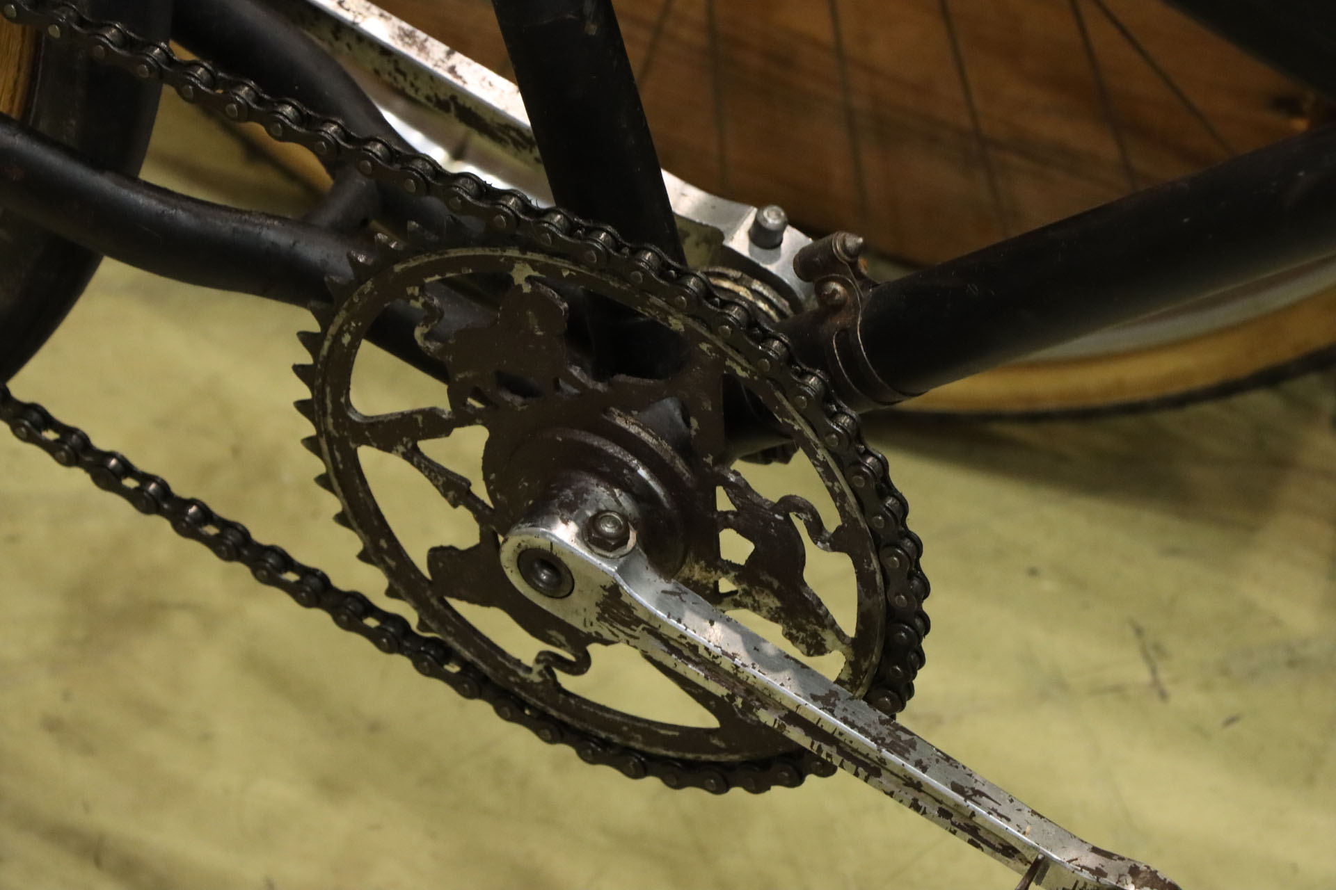 チェーンリングをライオンが走る