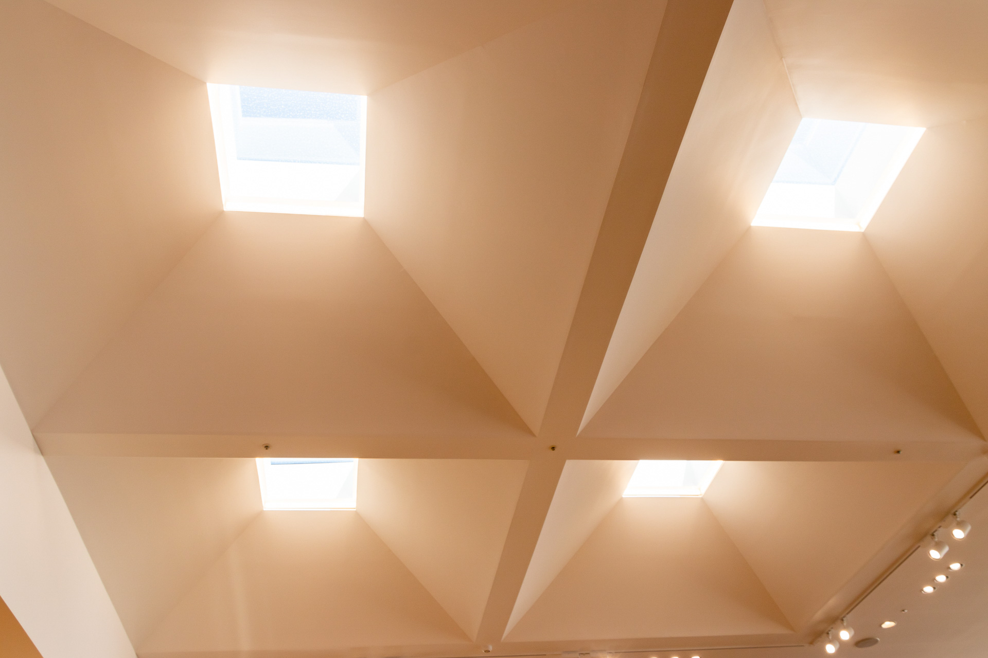 店内の中心にある4つの大きな天窓