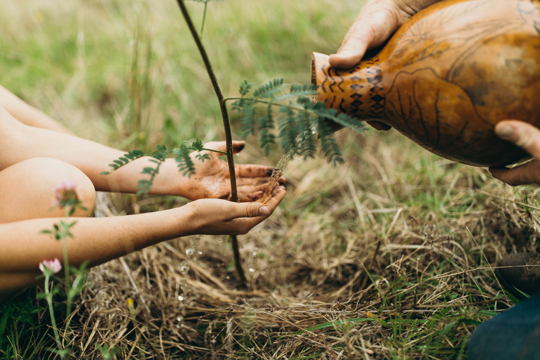 マラマハワイ（ハワイを思いやる心）について紹介します