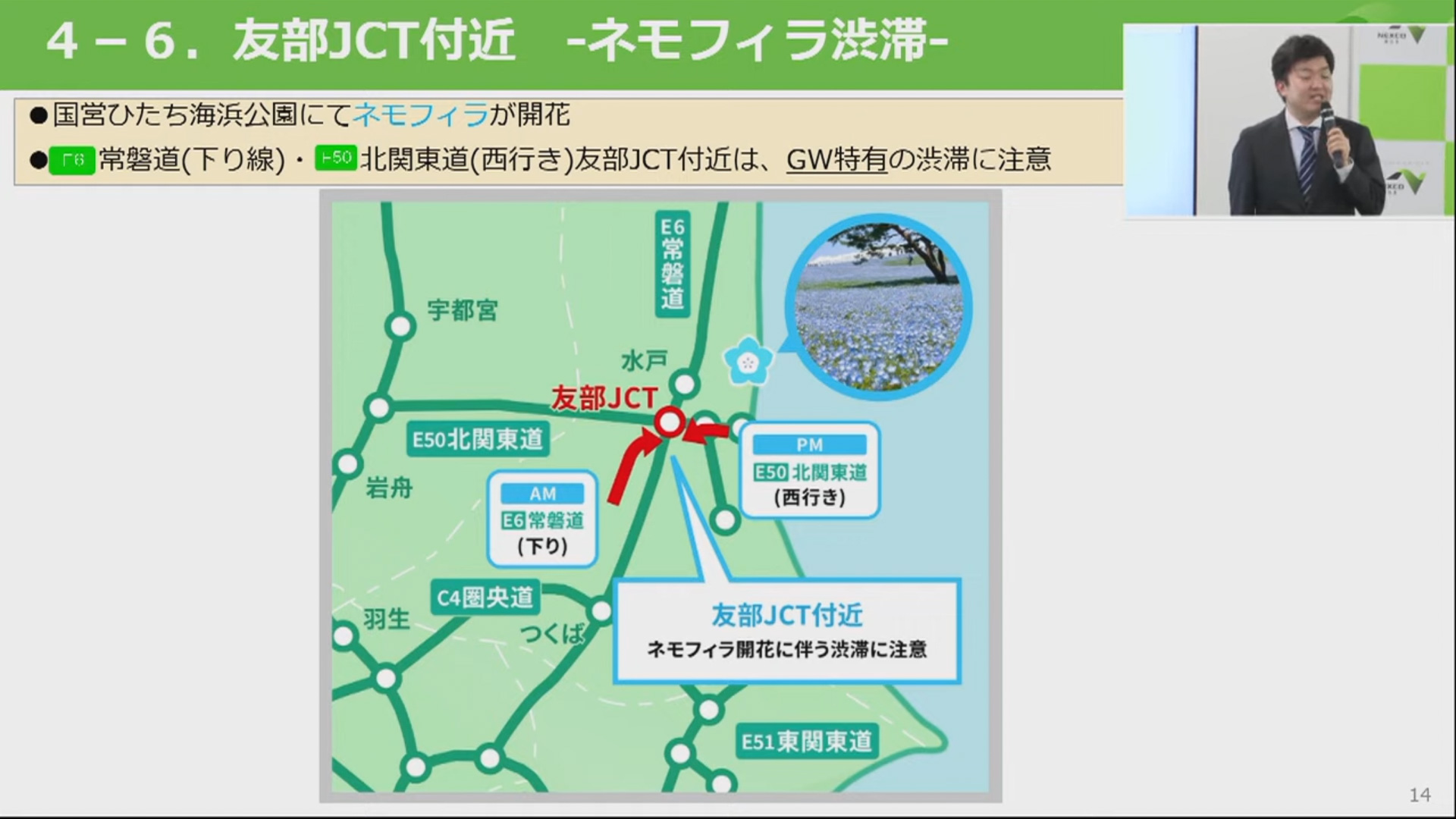 ネモフィラ渋滞