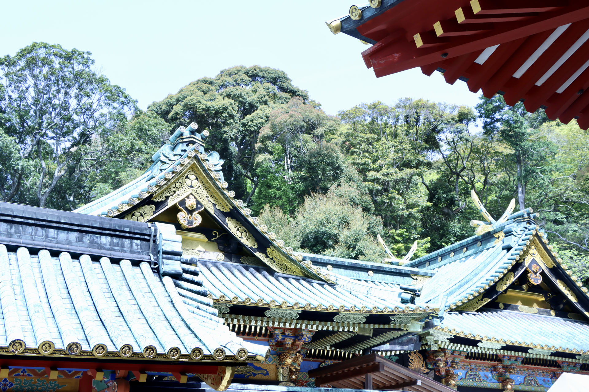 徳川家のプライベートな場所として長い間閉ざされていた