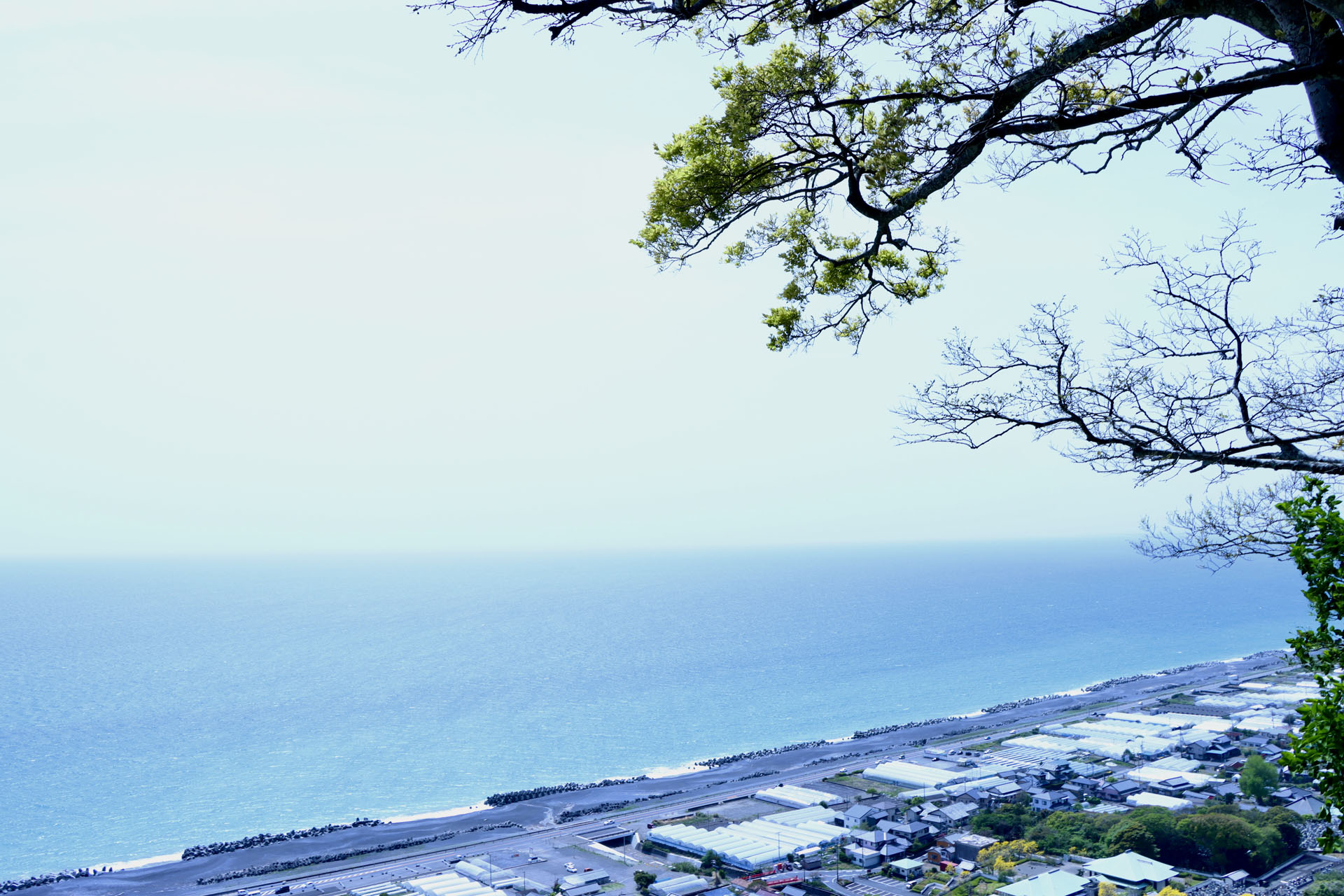 徒歩で下山した