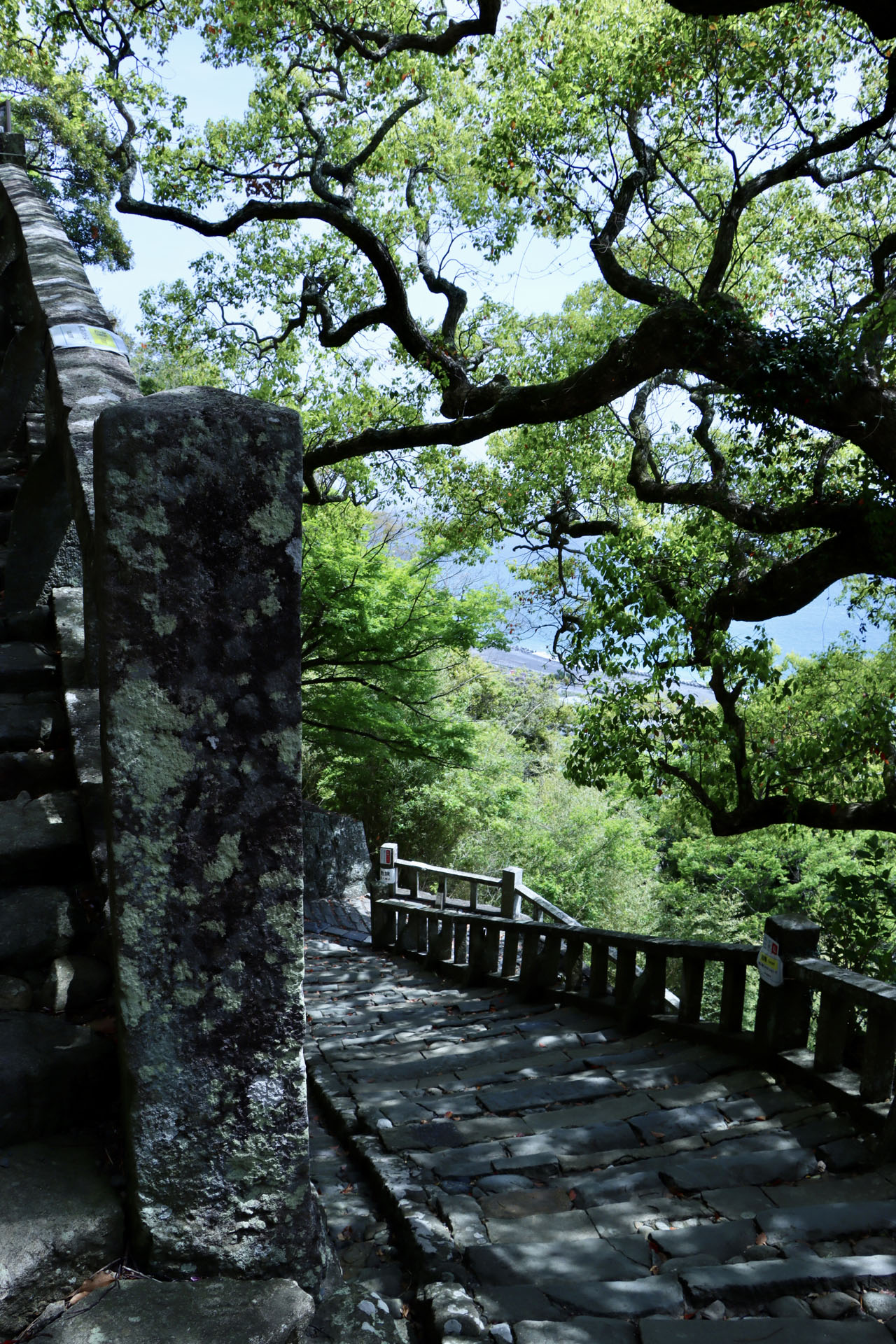 徒歩で下山した