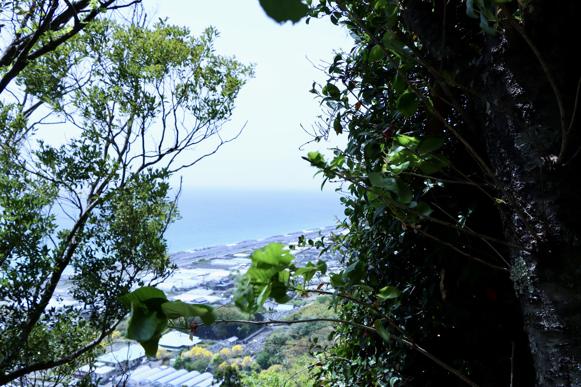 徒歩で下山した