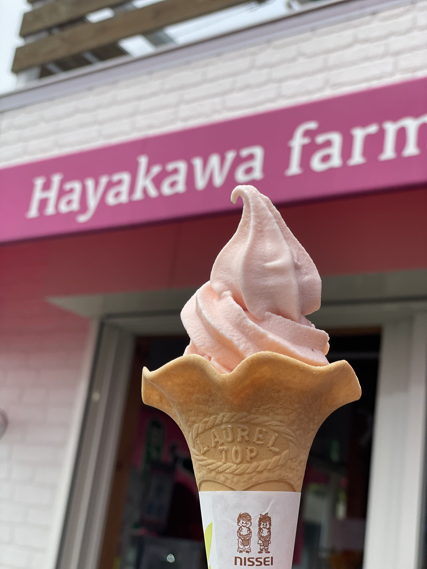 「早川農園＆cafeいちご畑」いちごソフト