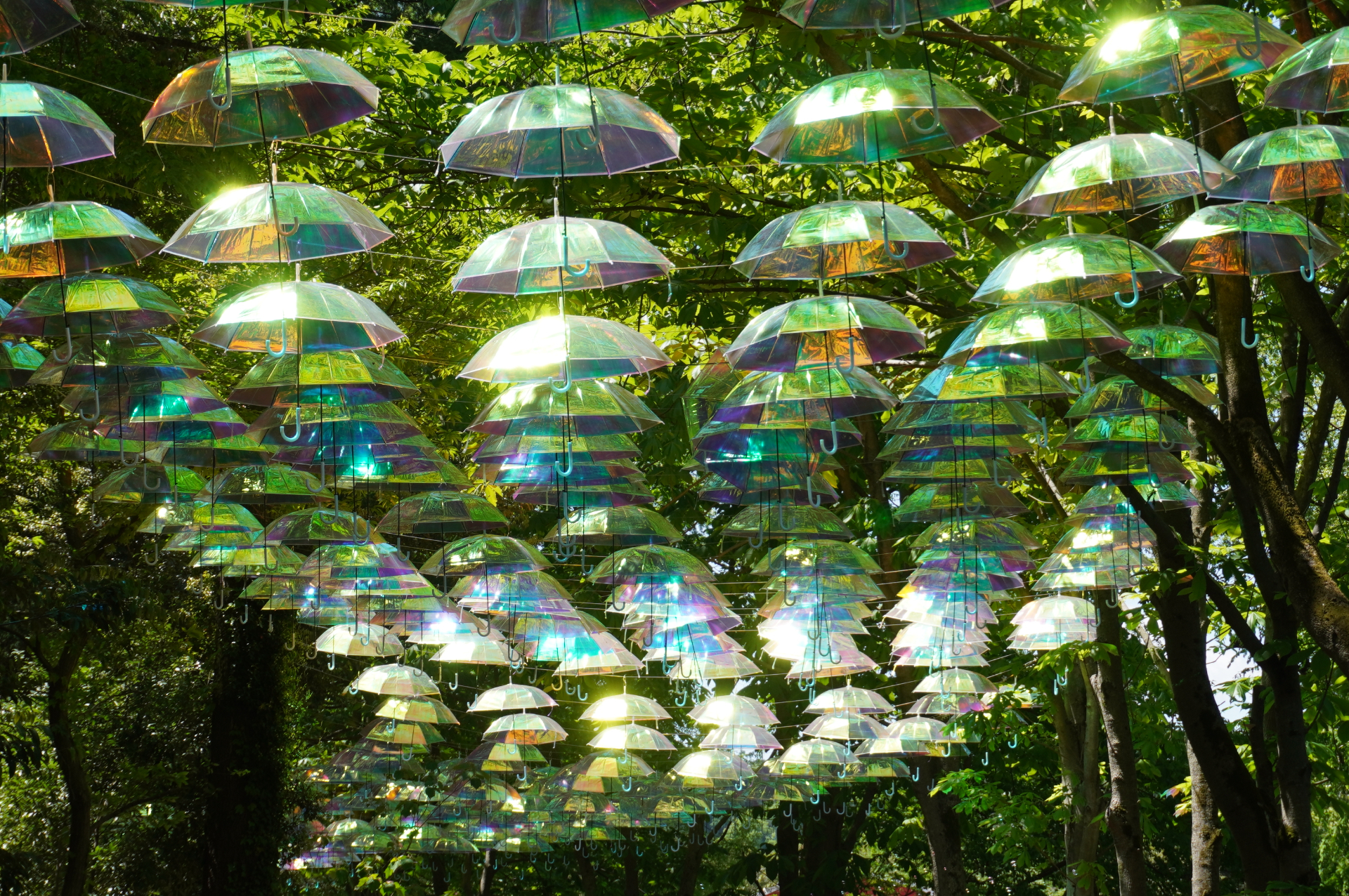 宮沢湖畔沿いの「水遊び小屋通り」を彩るアンブレラスカイ