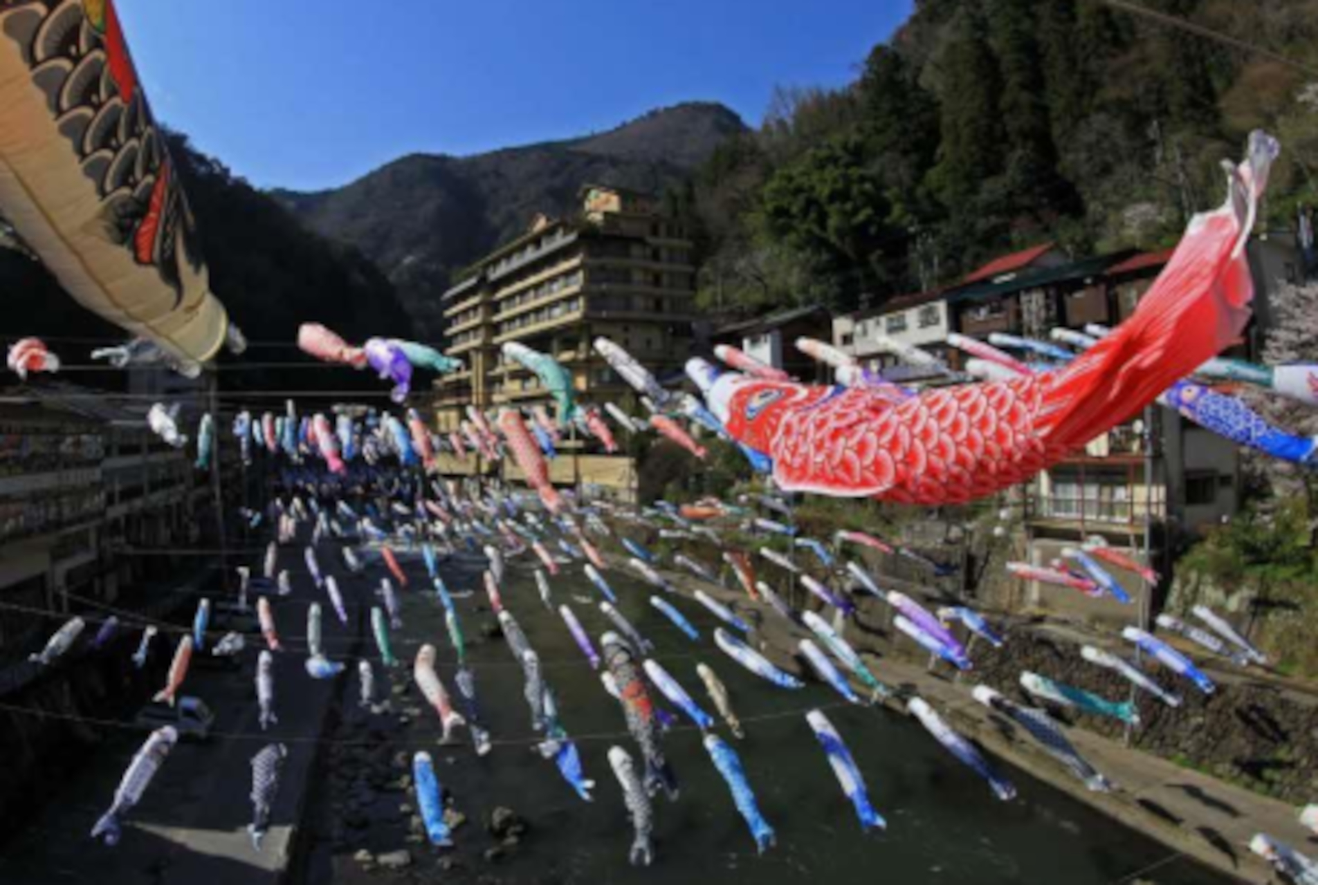 「杖立温泉鯉のぼり祭り」