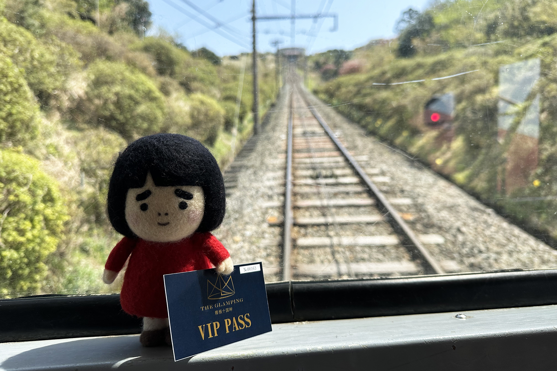 何度も乗れるVIP PASSすごい！　再び山頂へ