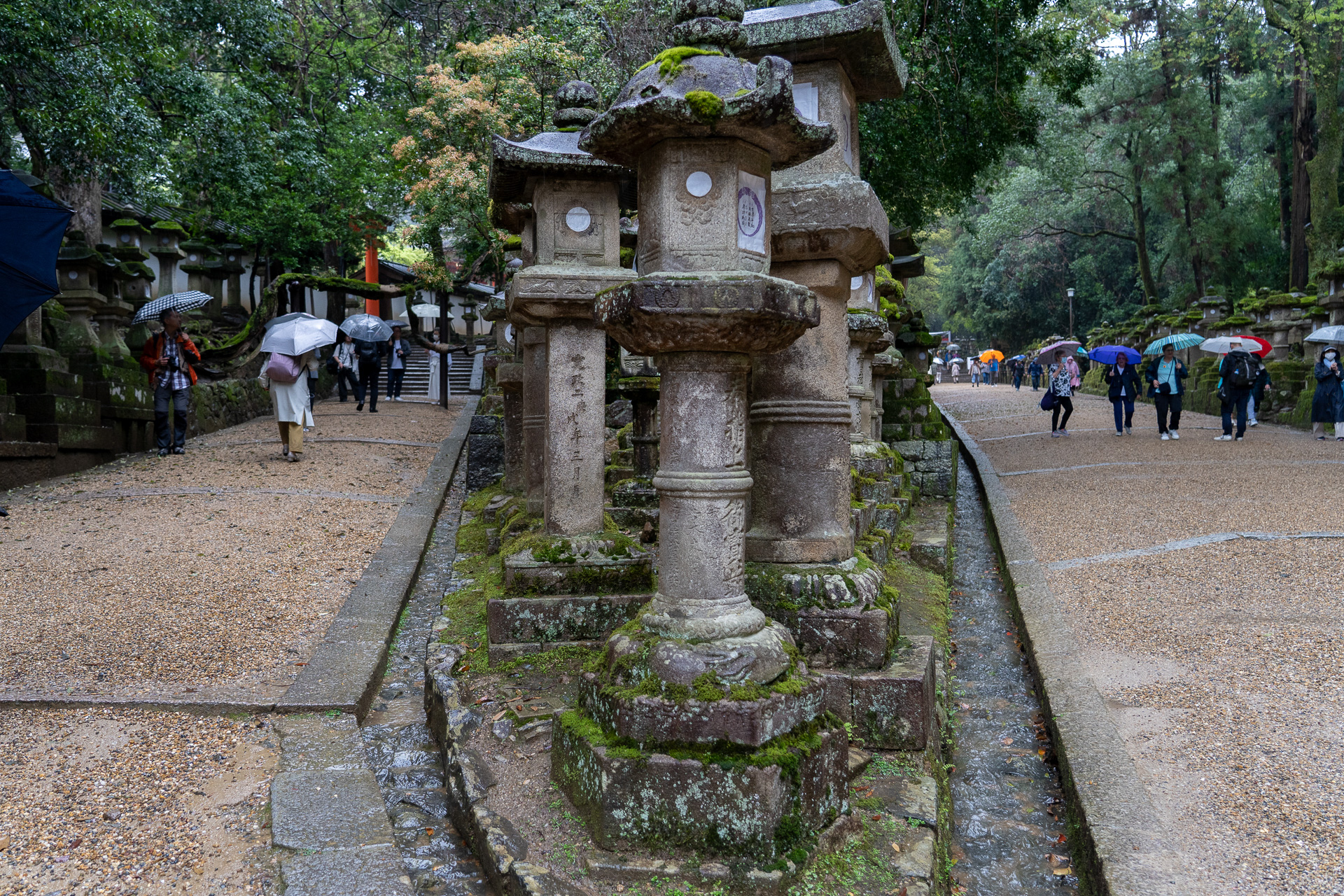斜めに分かれる剣先道へ。本堂へ続く藤原氏ゆかりの近道です