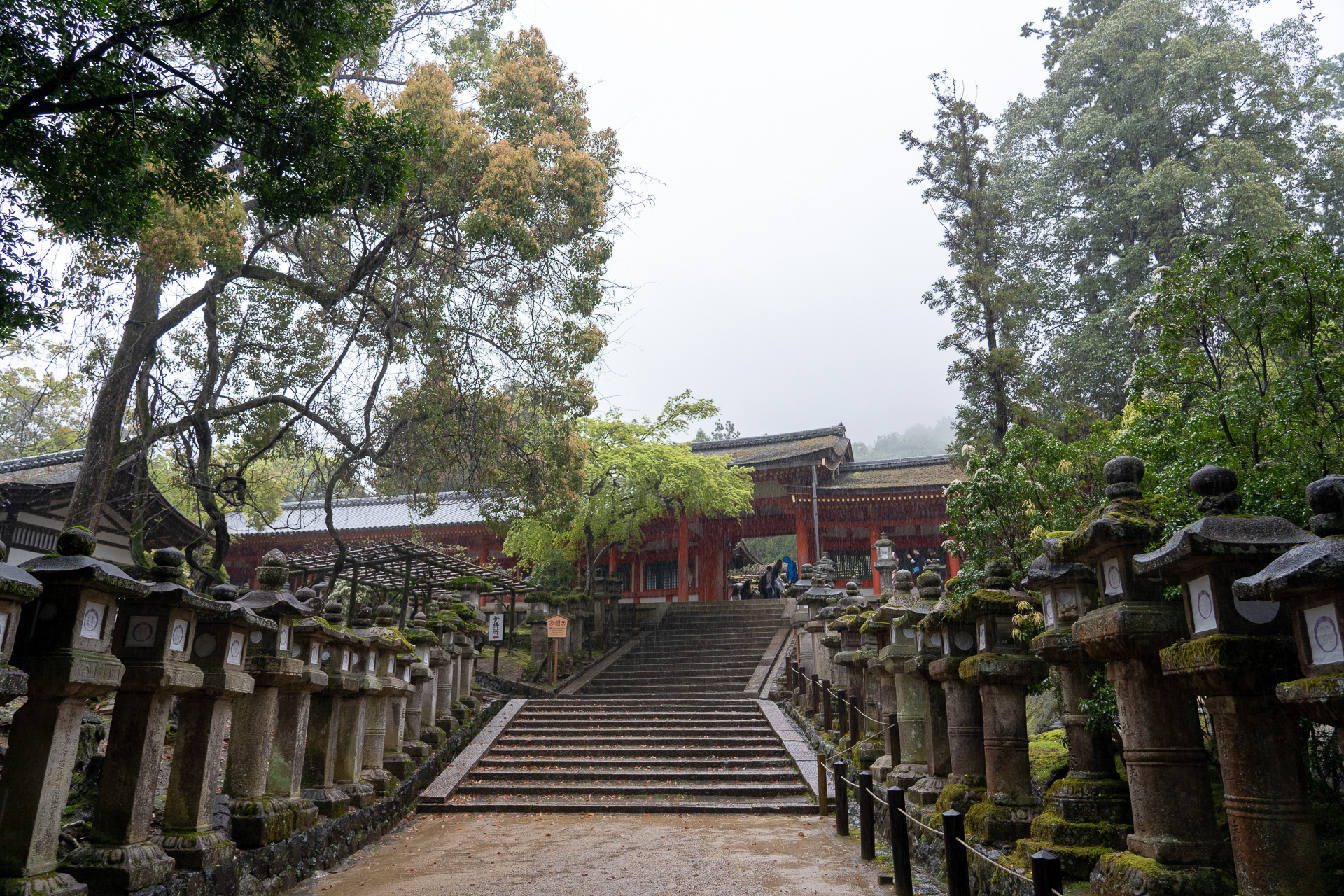 天気がよければ正面に御蓋山（みかさやま）が見える場所