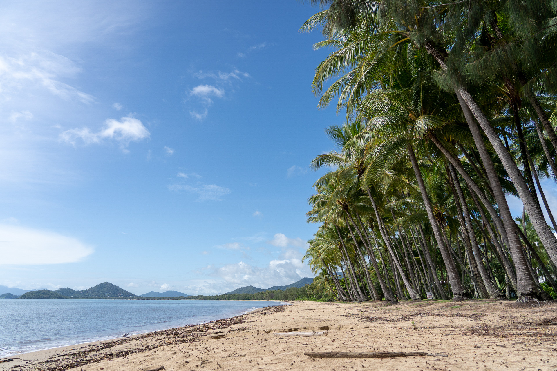 “ヤシの木の入江”という名前のとおりビーチ沿いにはヤシの木がたくさん