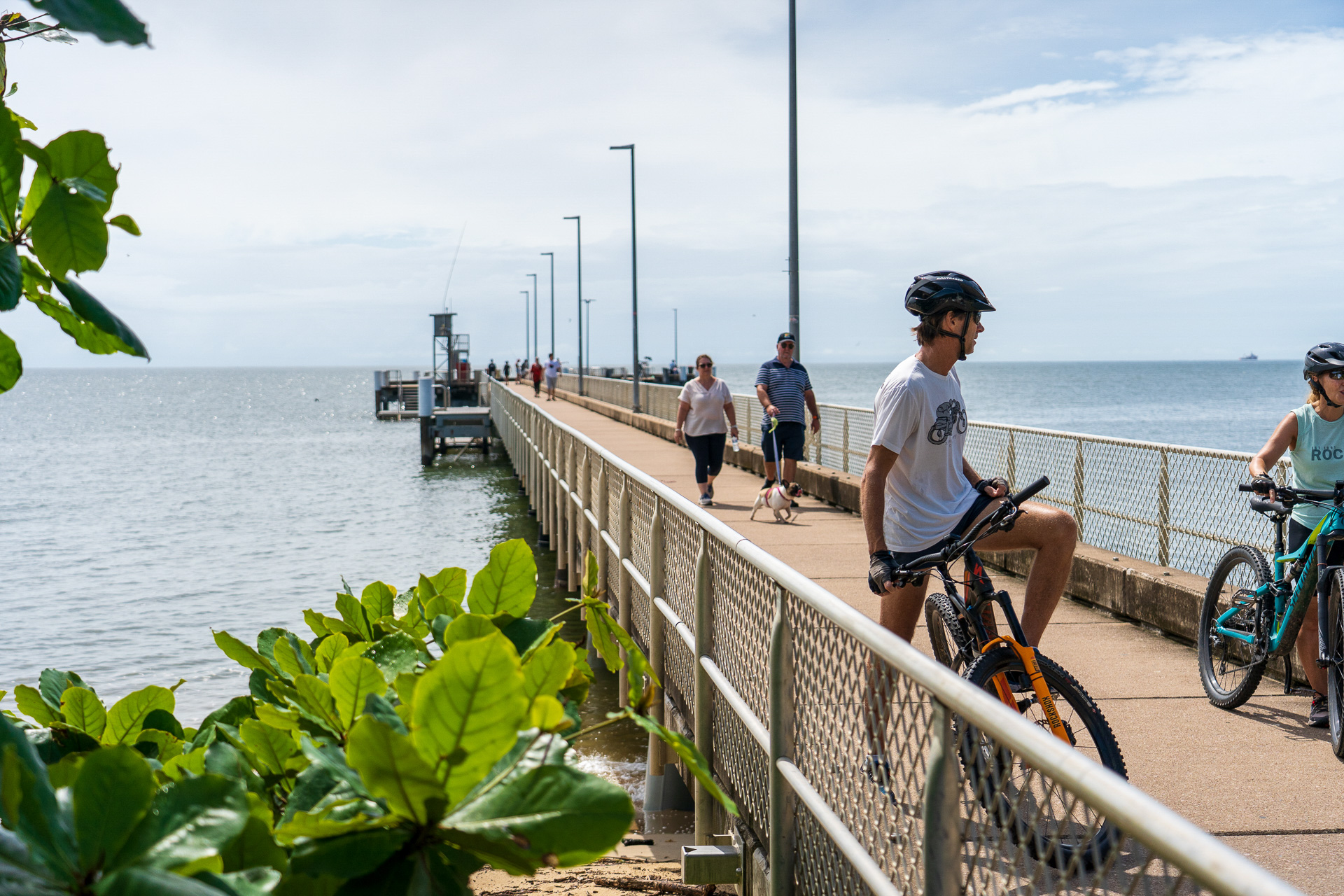 桟橋は釣り人に人気とか