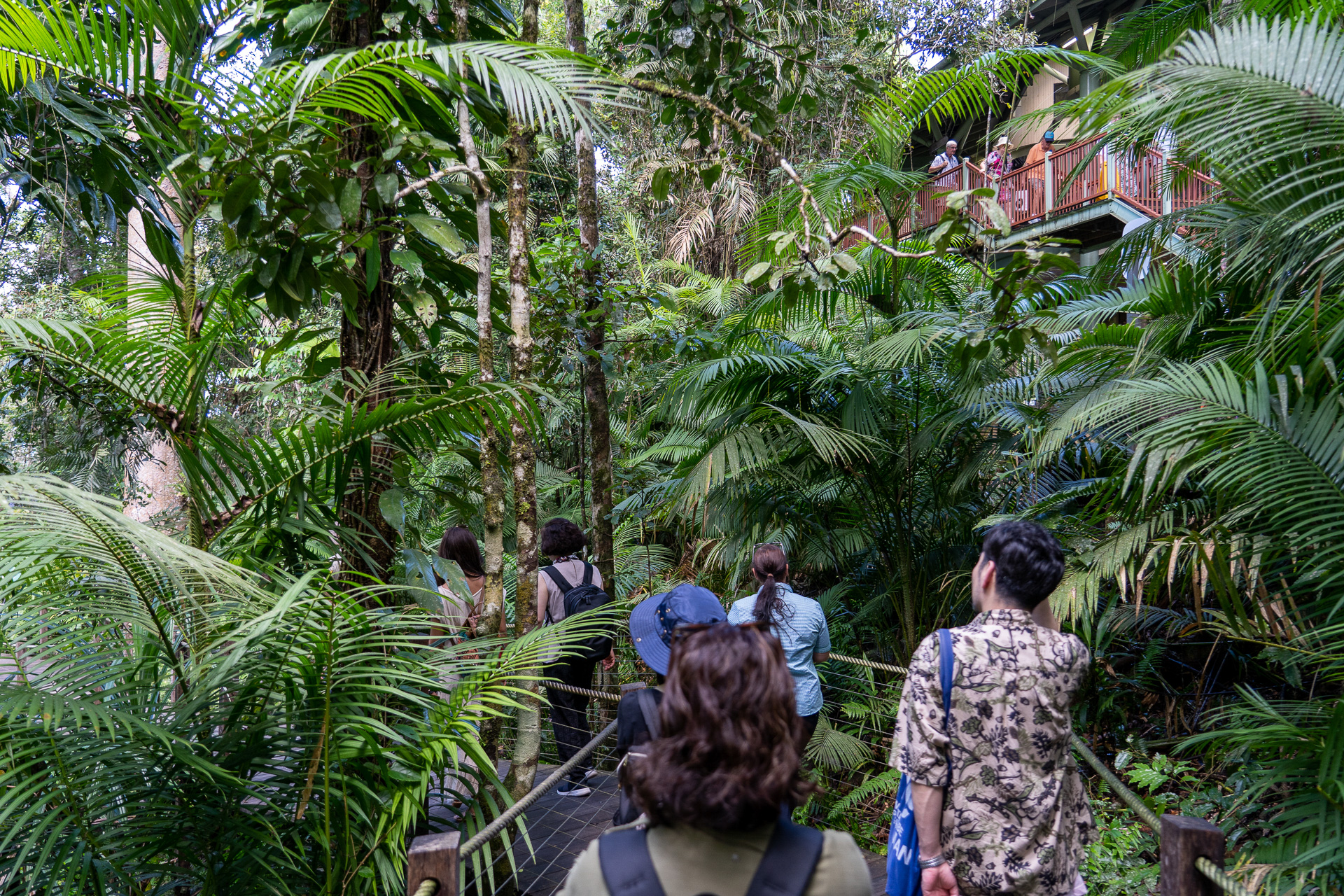 ジャングルウォークみたいで楽しい