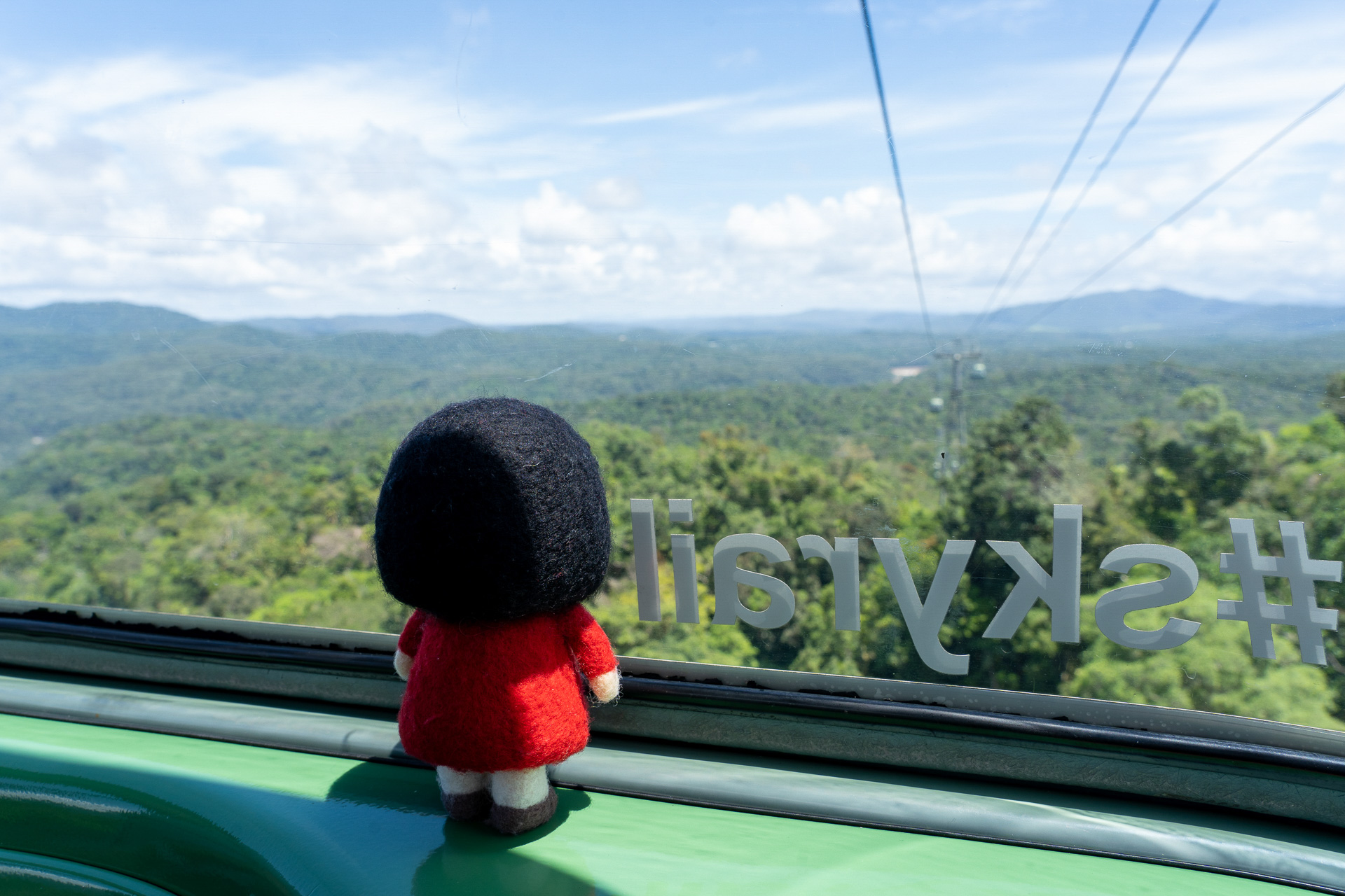 再び乗り込んだゴンドラ。ここから見える原始世界のような森がすごい