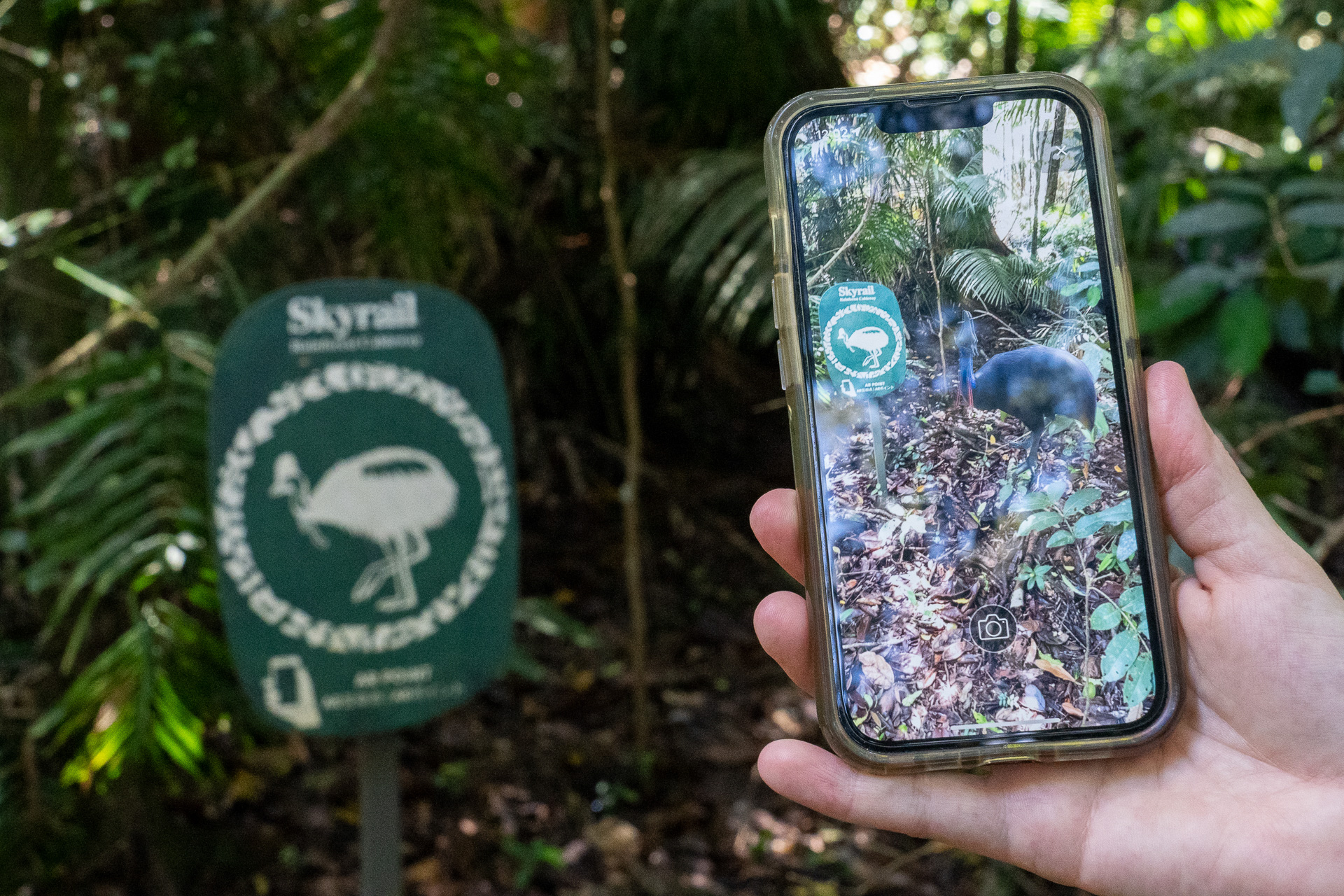 AR機能を使うと画面上でヒクイドリを見ることができます