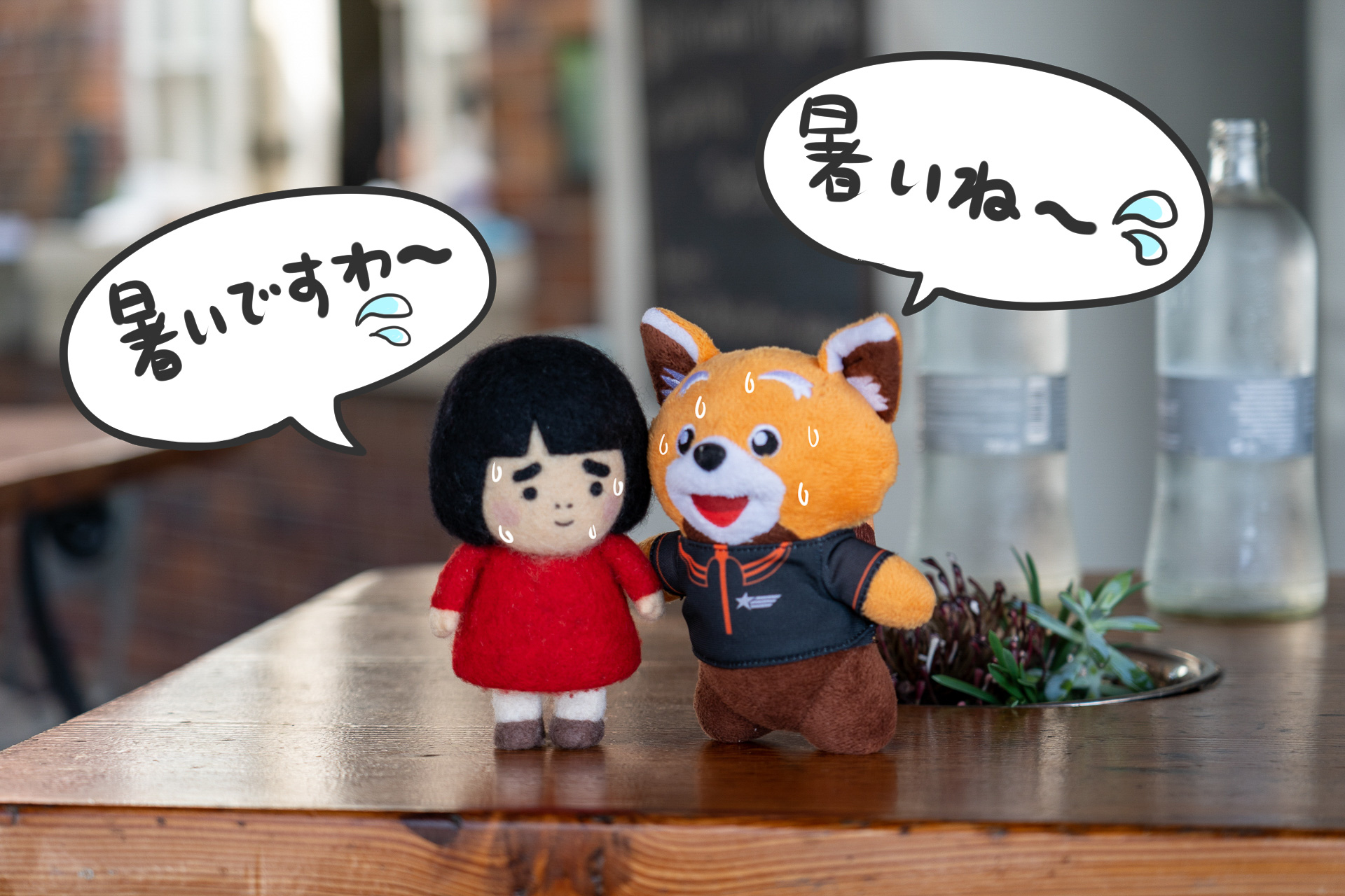 キュランダからケアンズ中心部に戻ってきました