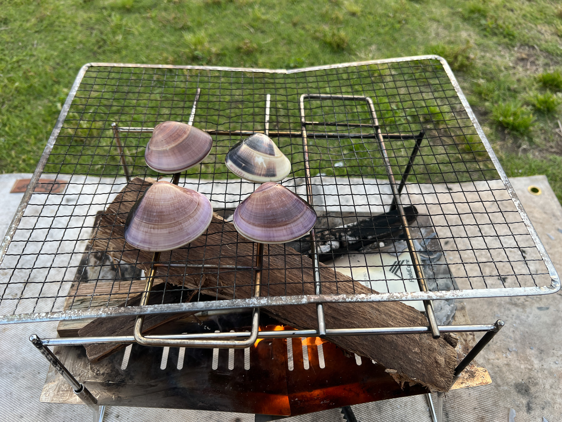 千葉県産のハマグリ焼き