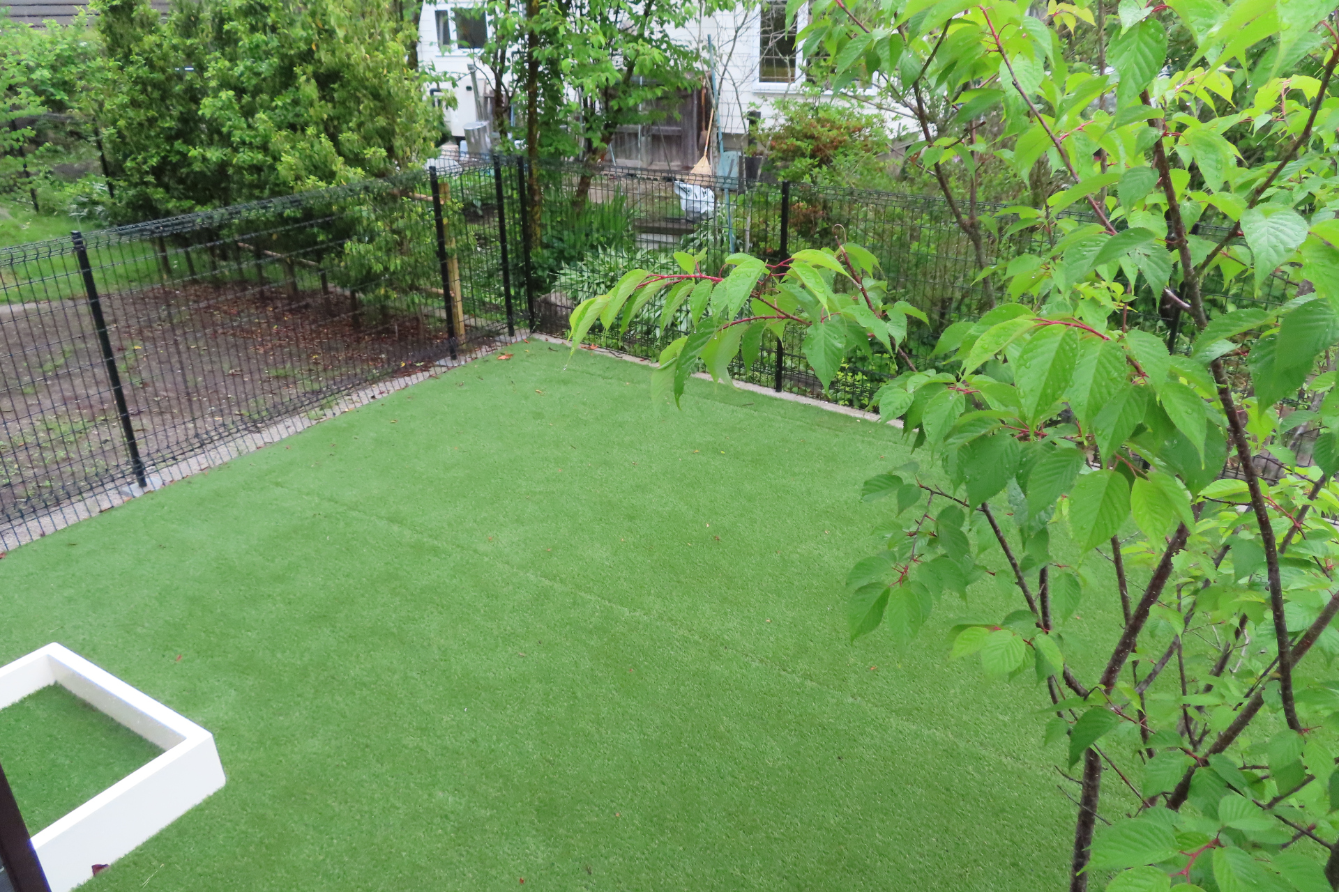 一部の部屋にはドッグランも