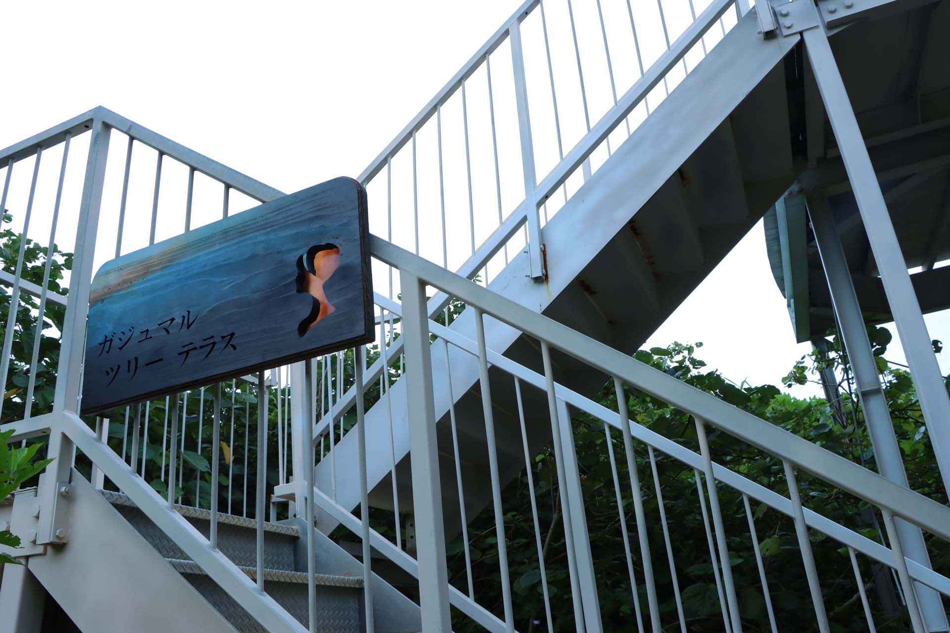 大きなガジュマルの木の上に海を臨めるテラスがある