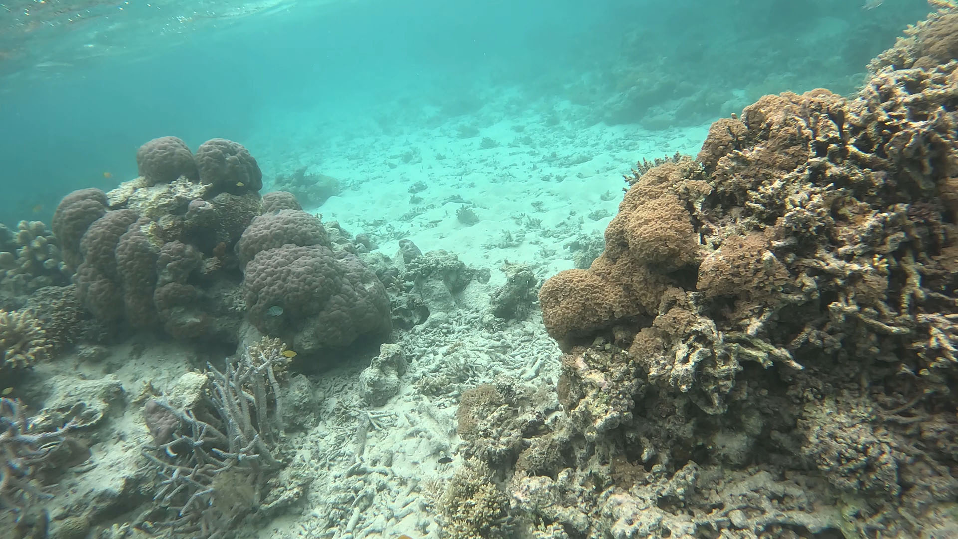 沖縄のエメラルドブルーの海がそのまま映し出される